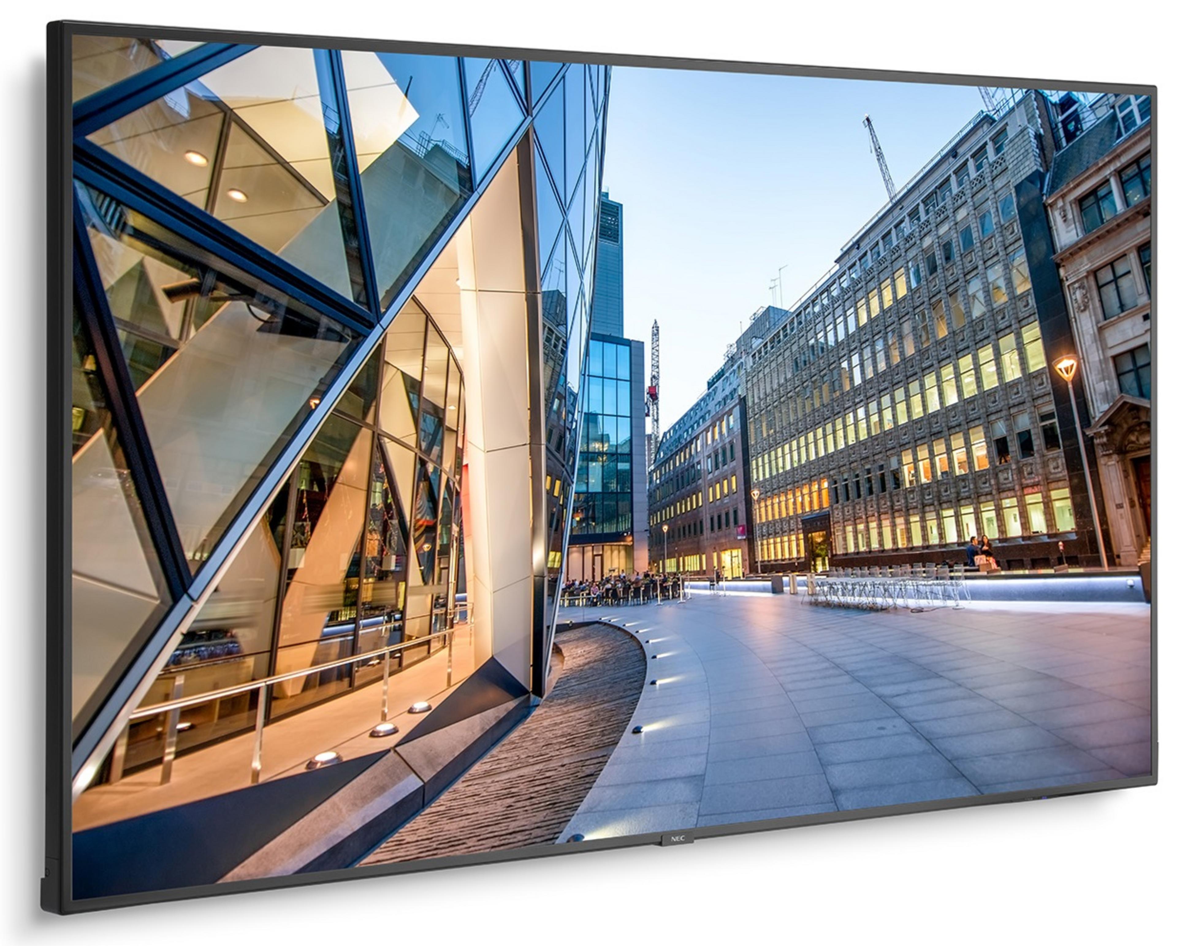 NEC MultiSync C751Q Monitor