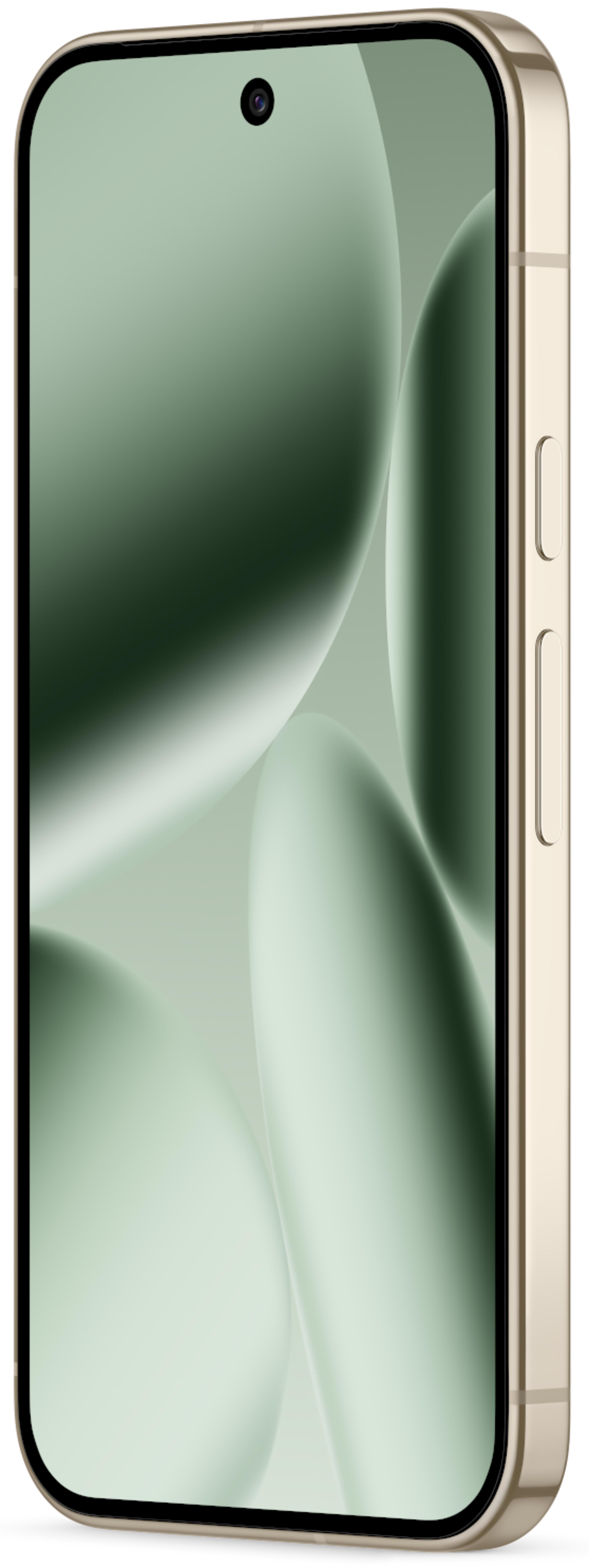 Google Pixel 10 Pro 256 GB jade