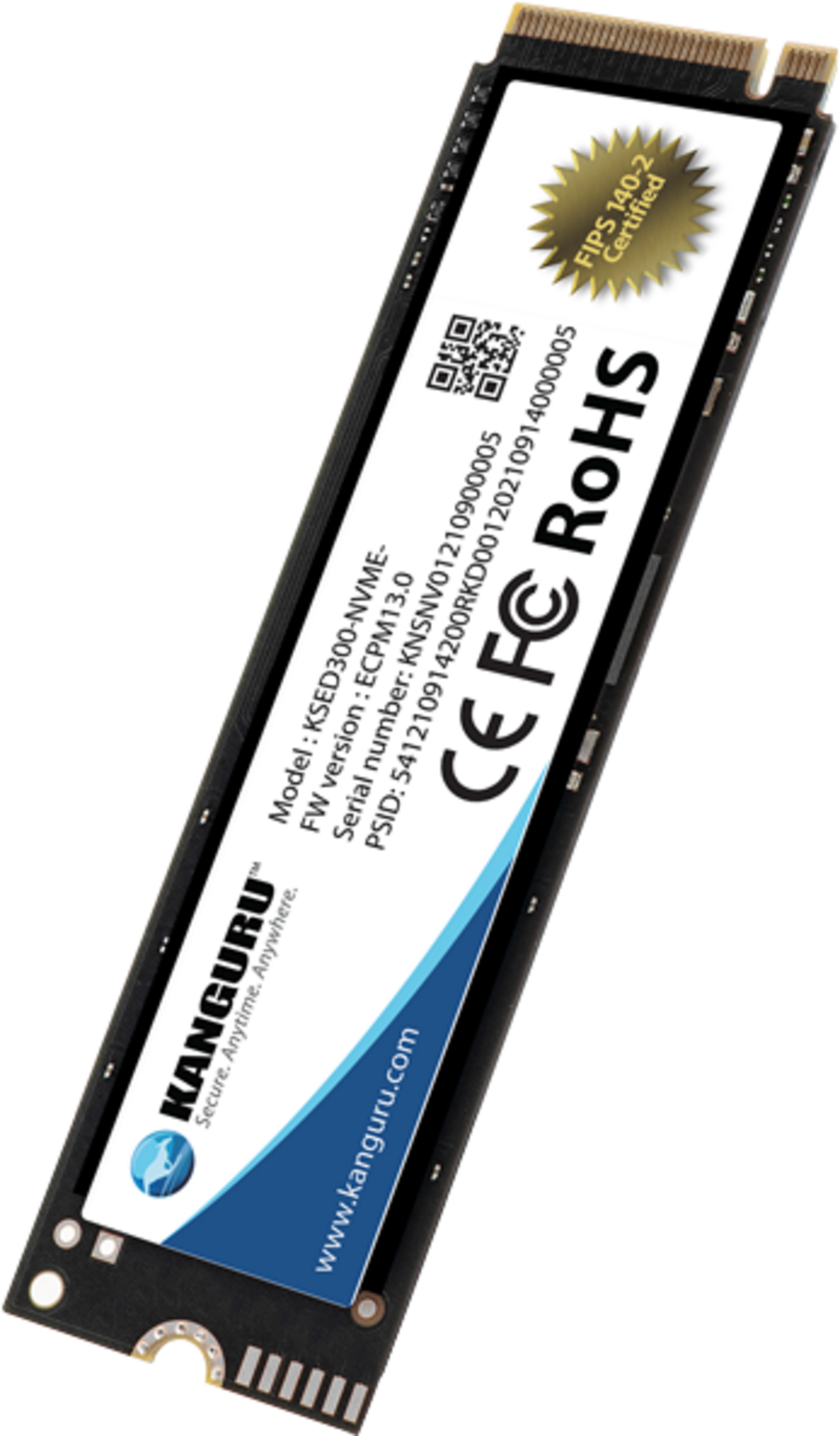Kanguru Defender SED300 M.2 500 GB SSD