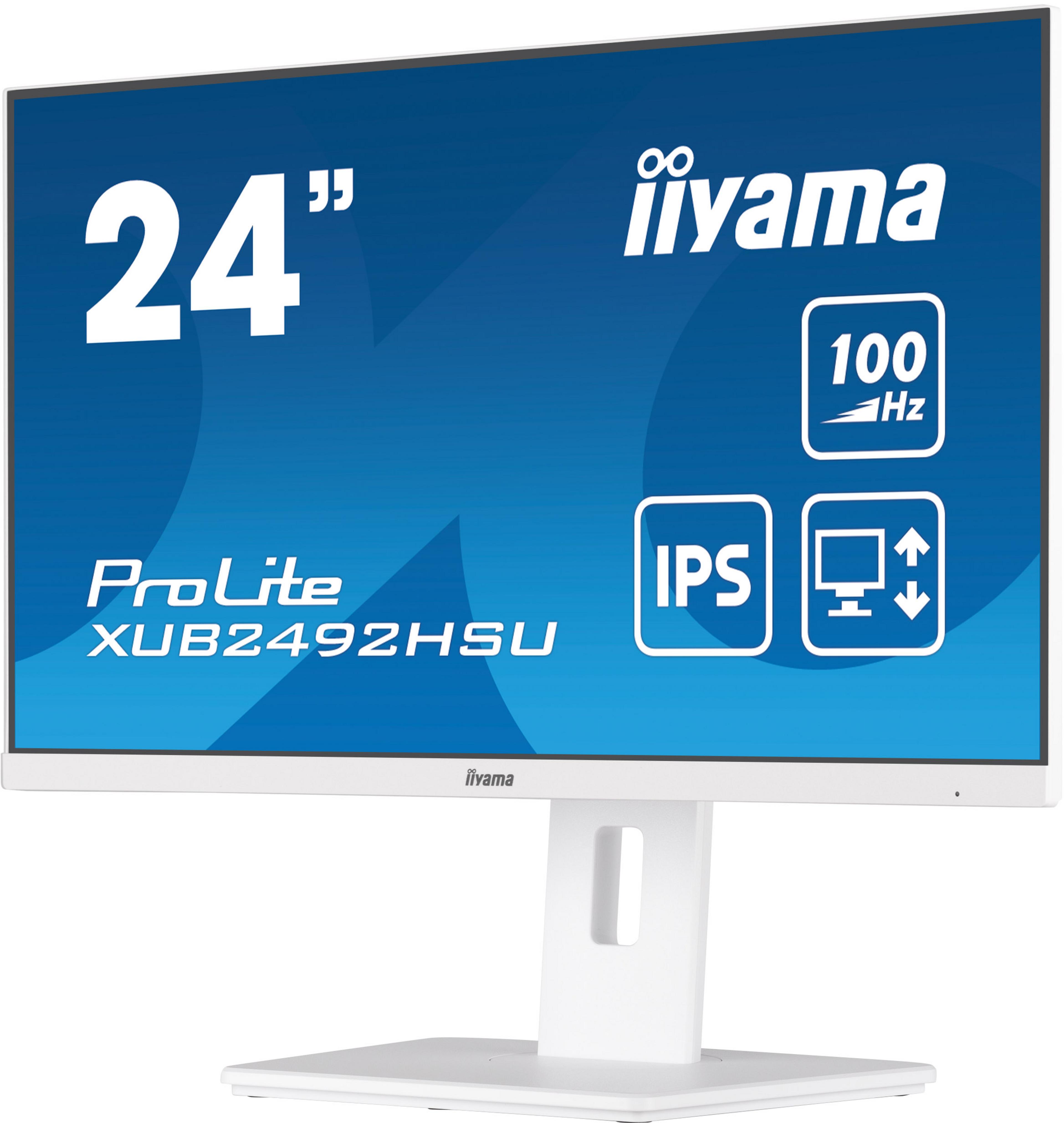 iiyama ProLite XUB2492HSU-W6 Monitor