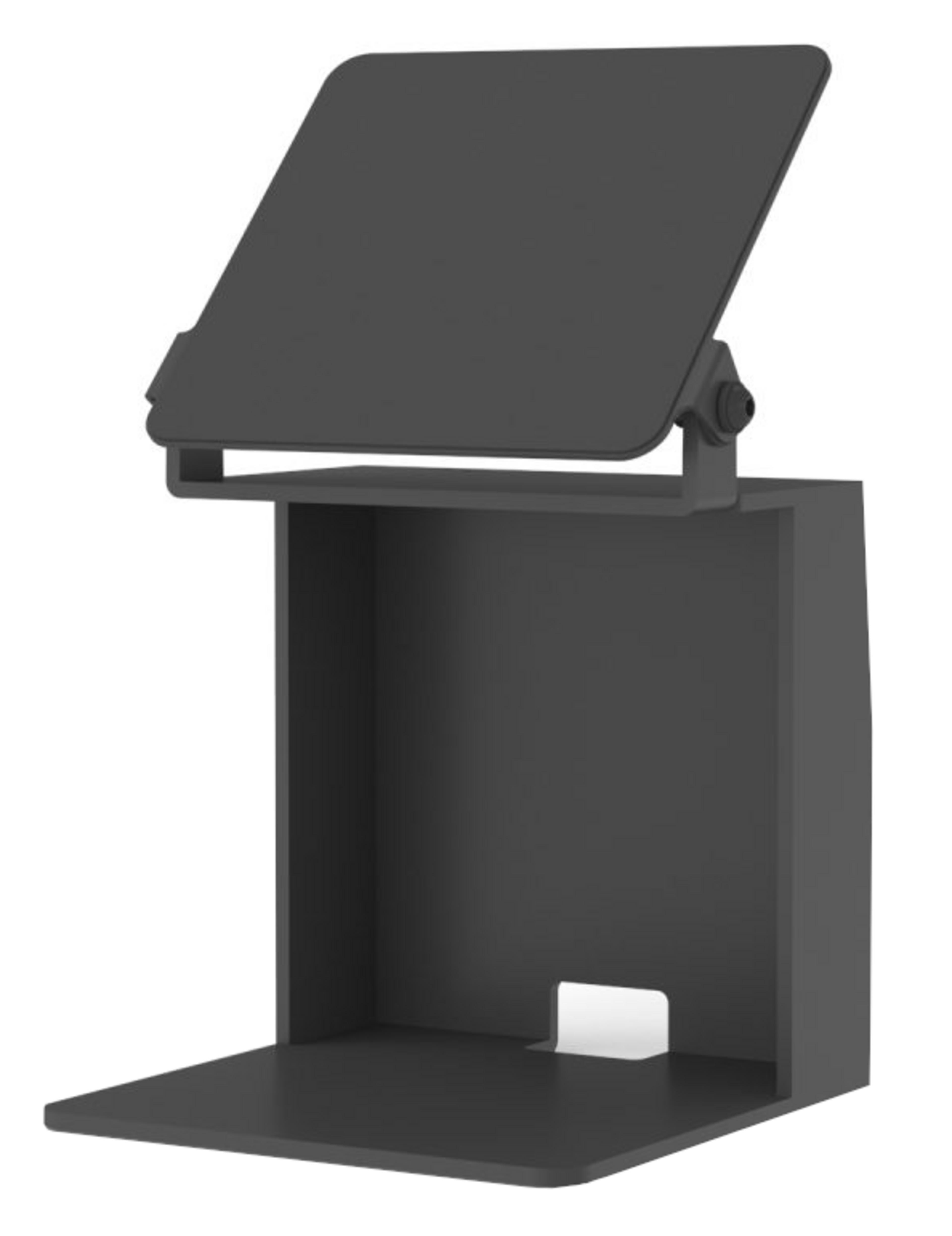 Seiko RP-F10 Display schwarz