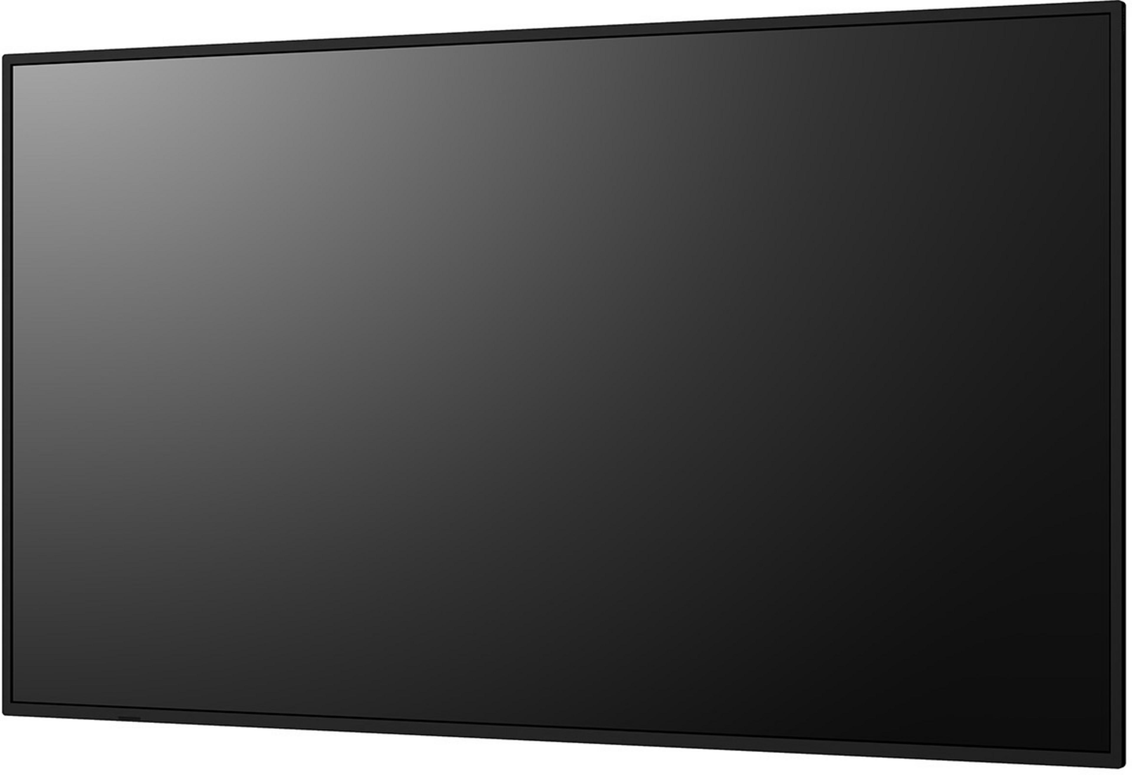 Sharp MultiSync P436 Display
