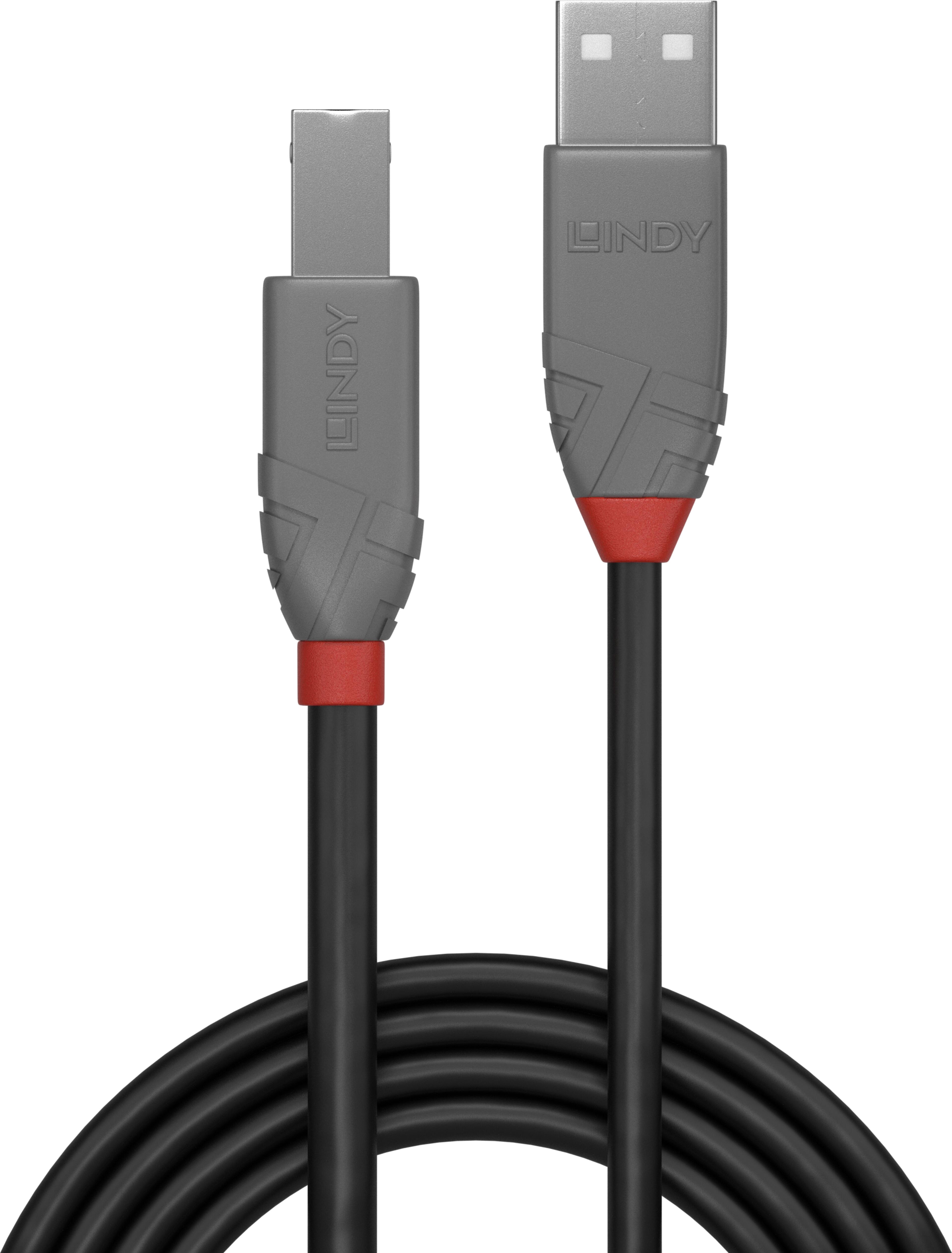 LINDY USB-A to USB-B Cable 0.5m