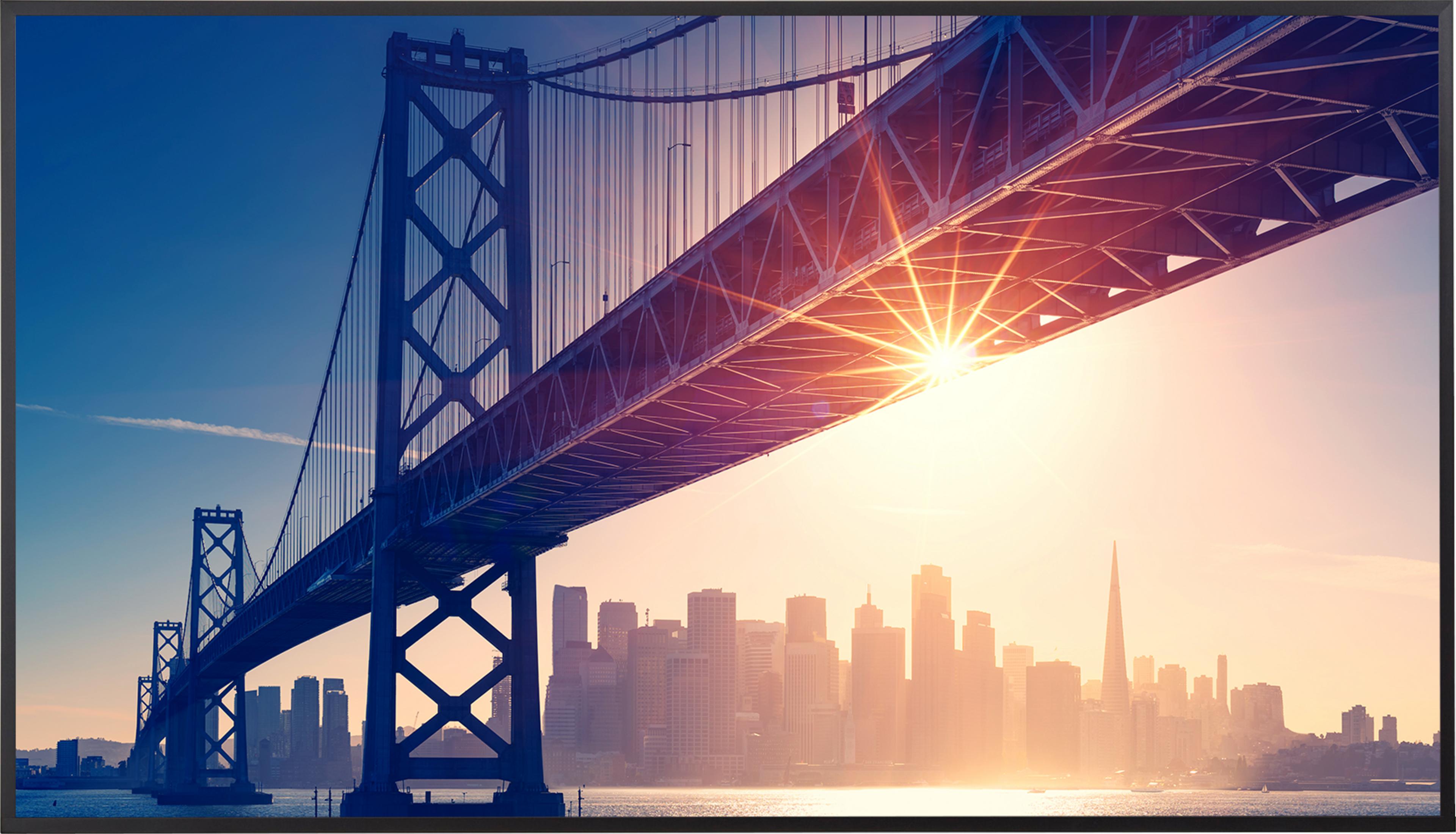 Sharp MultiSync ME862 Display