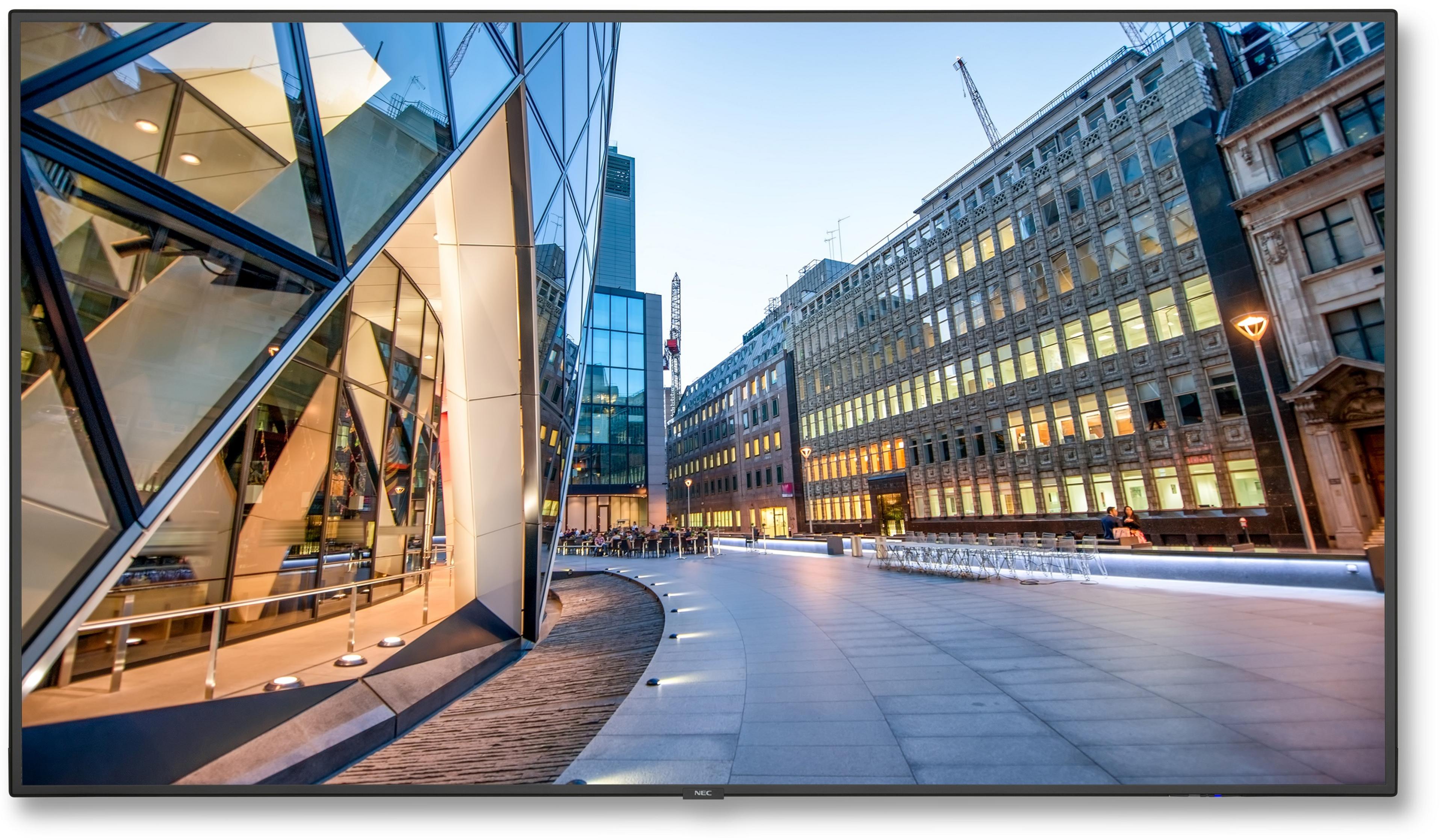 NEC MultiSync C651Q Monitor