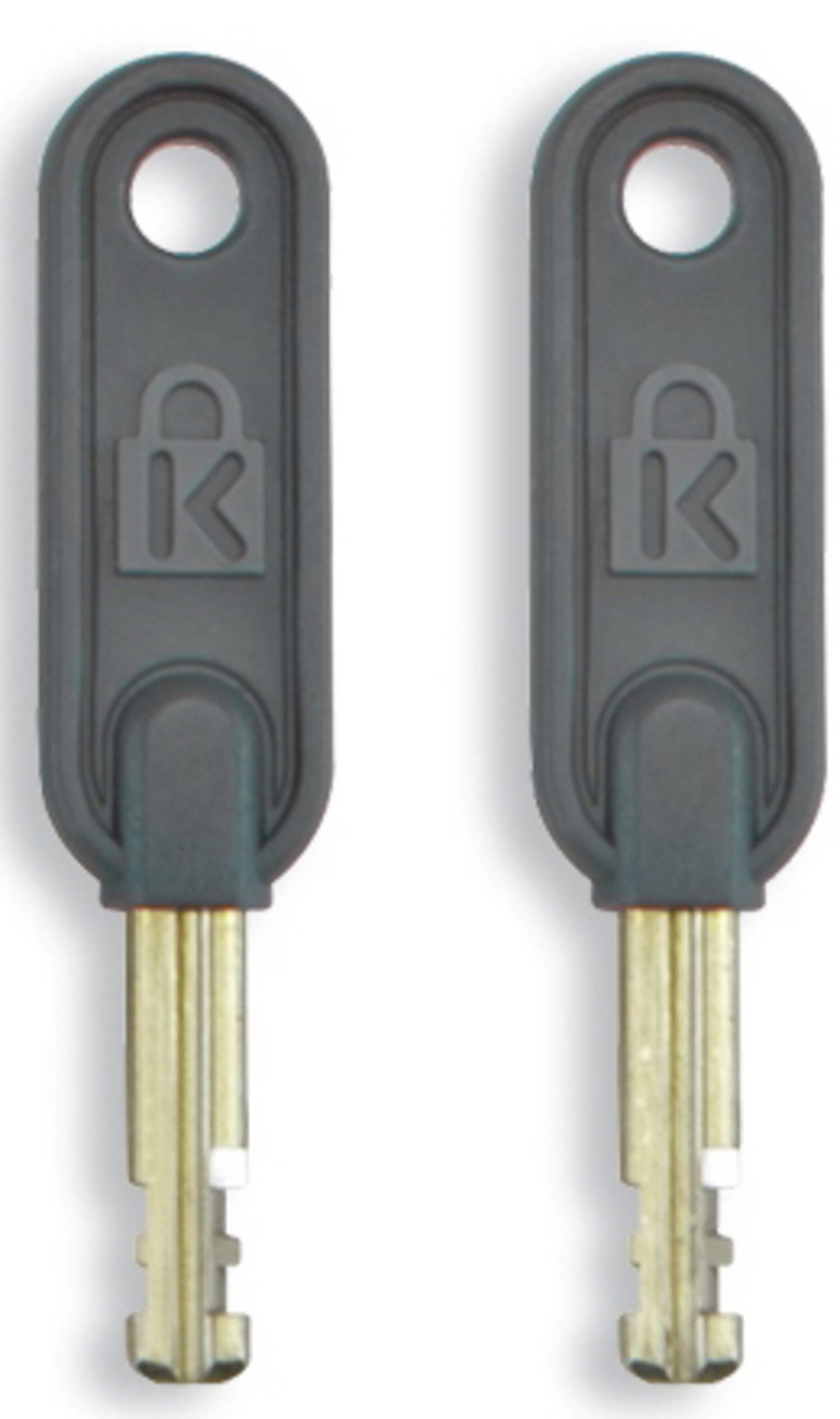 Kensington MiniSaver Schloss