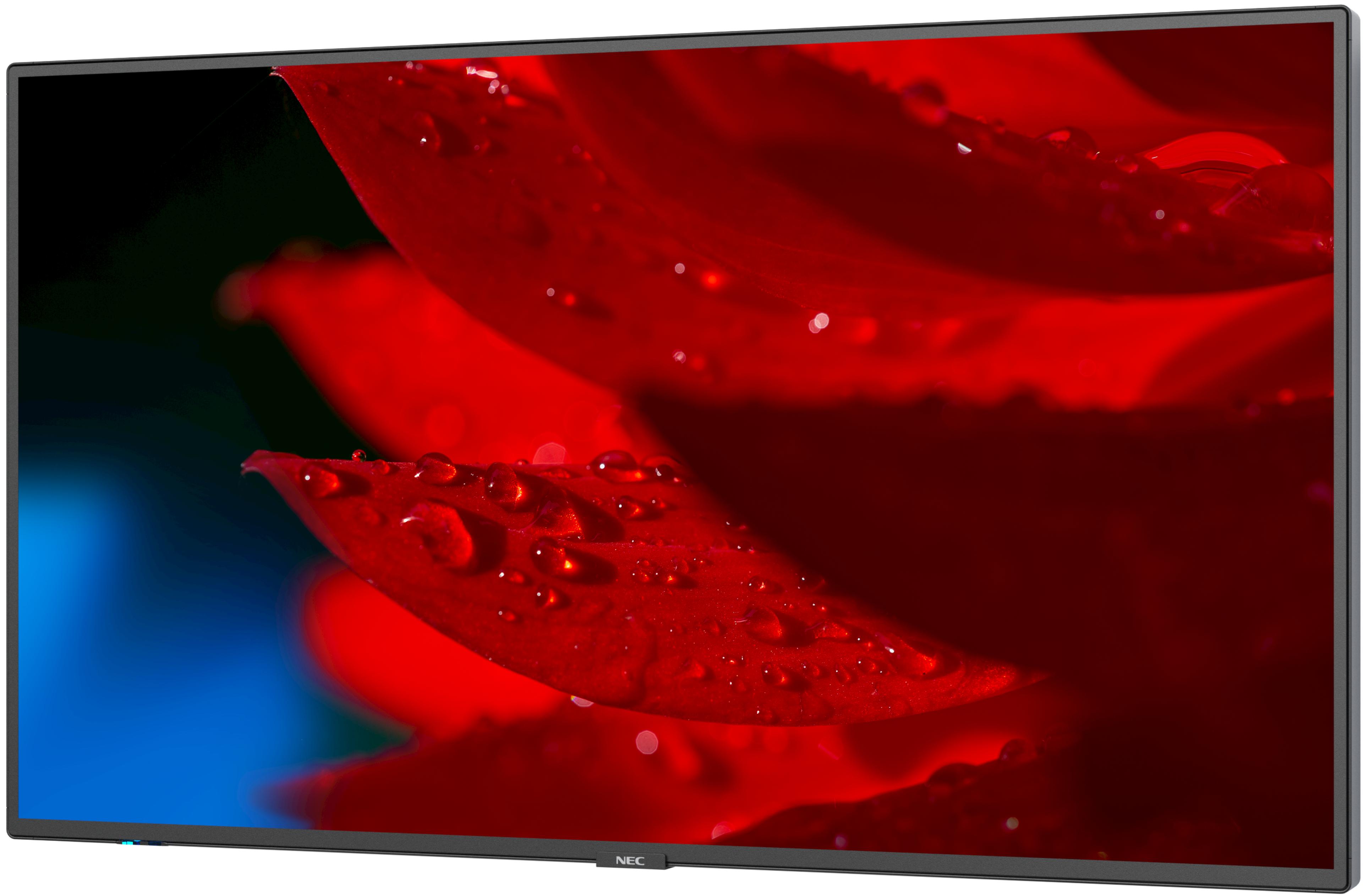 NEC MultiSync MA431 Display