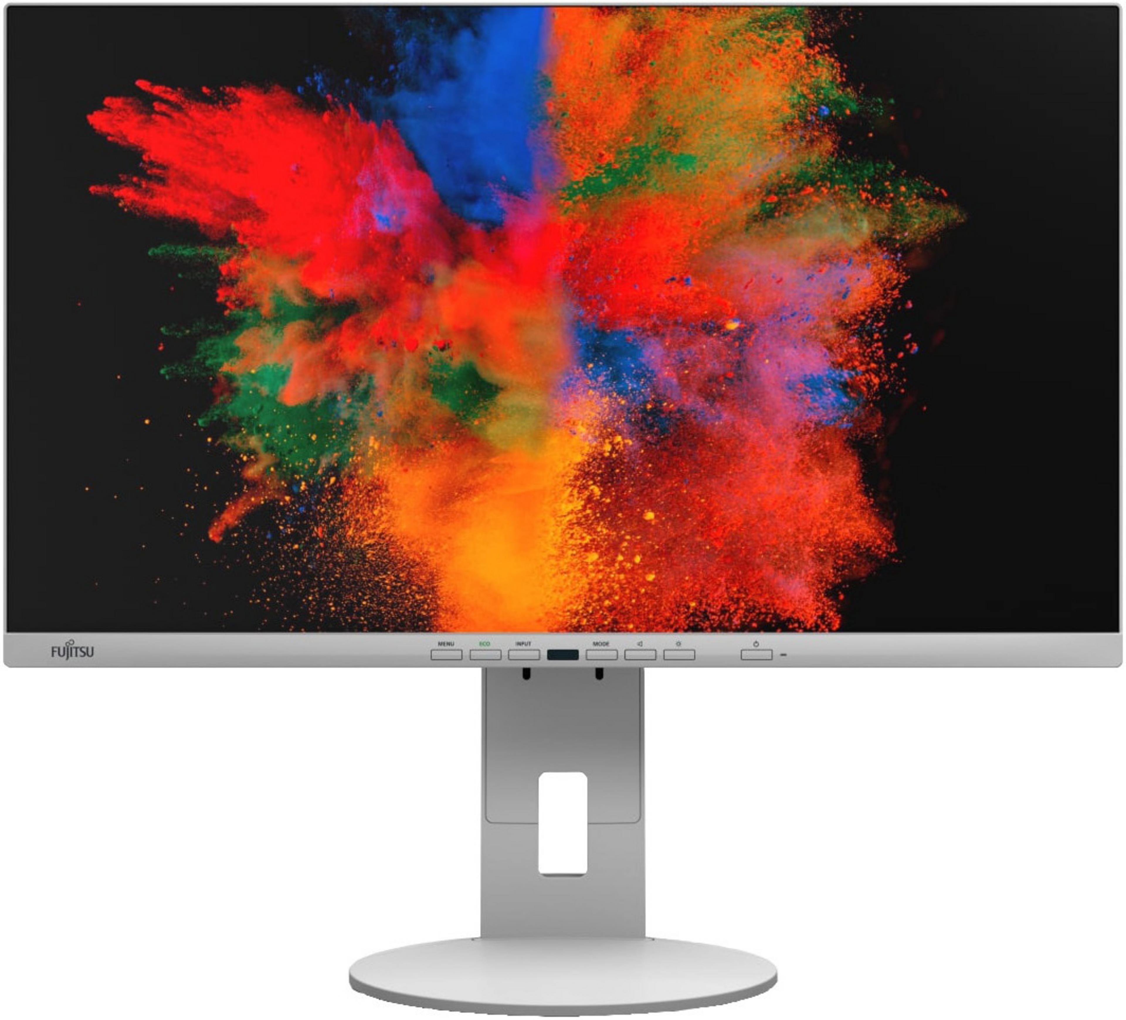 Fujitsu P2410 TE Monitor