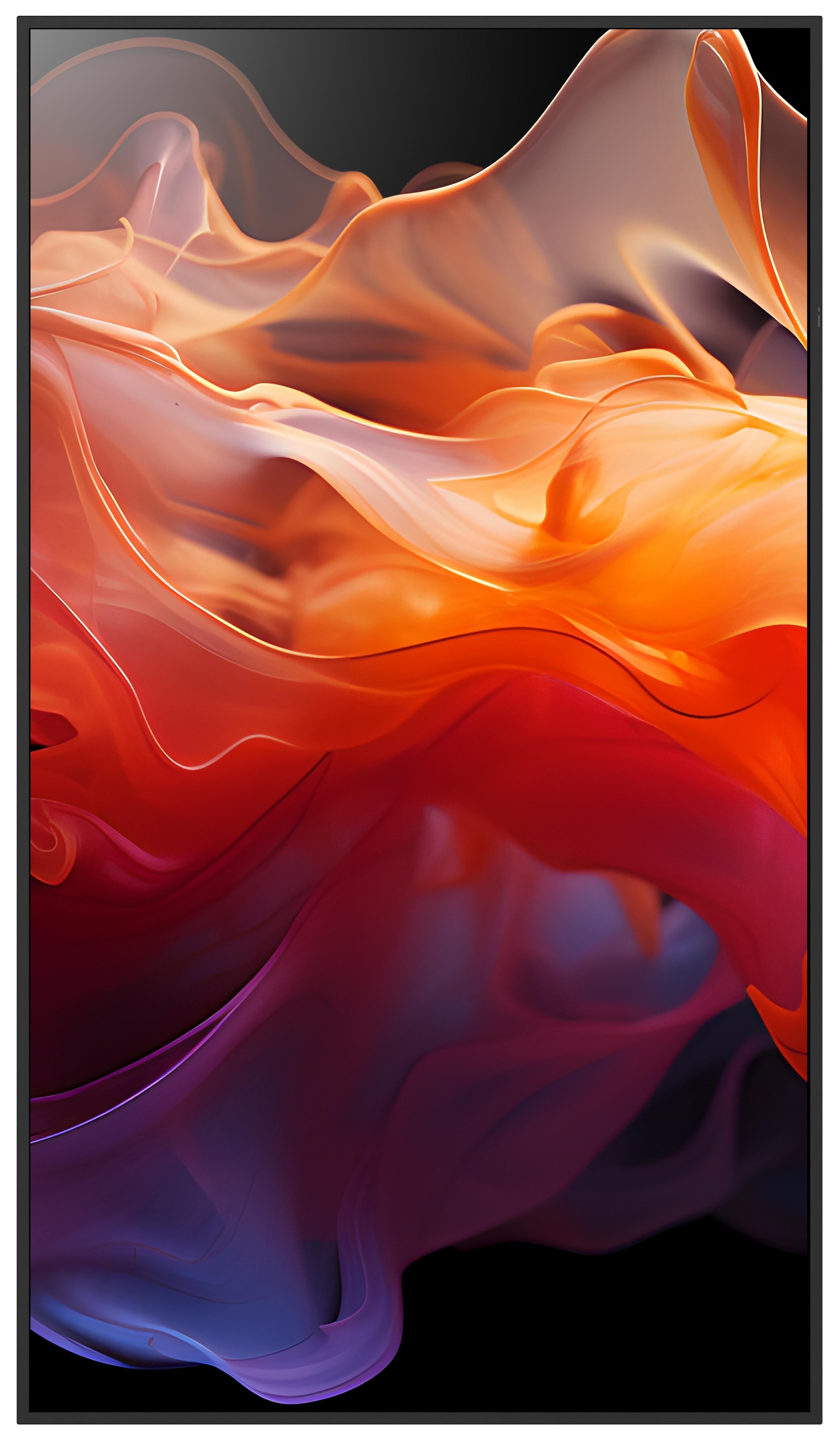 Sharp MultiSync E509 Display