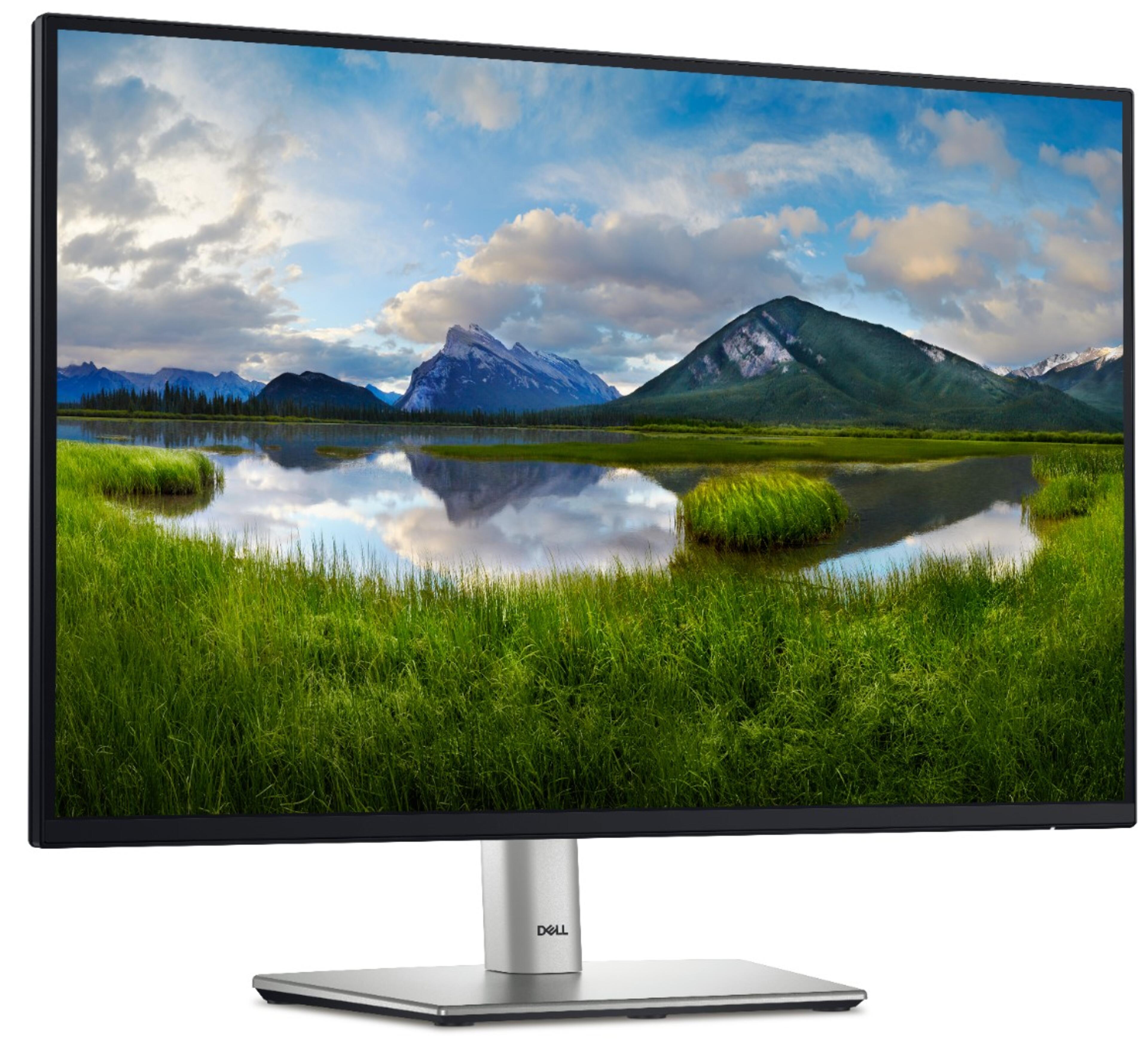 Dell Pro 24 Plus P2425 Monitor