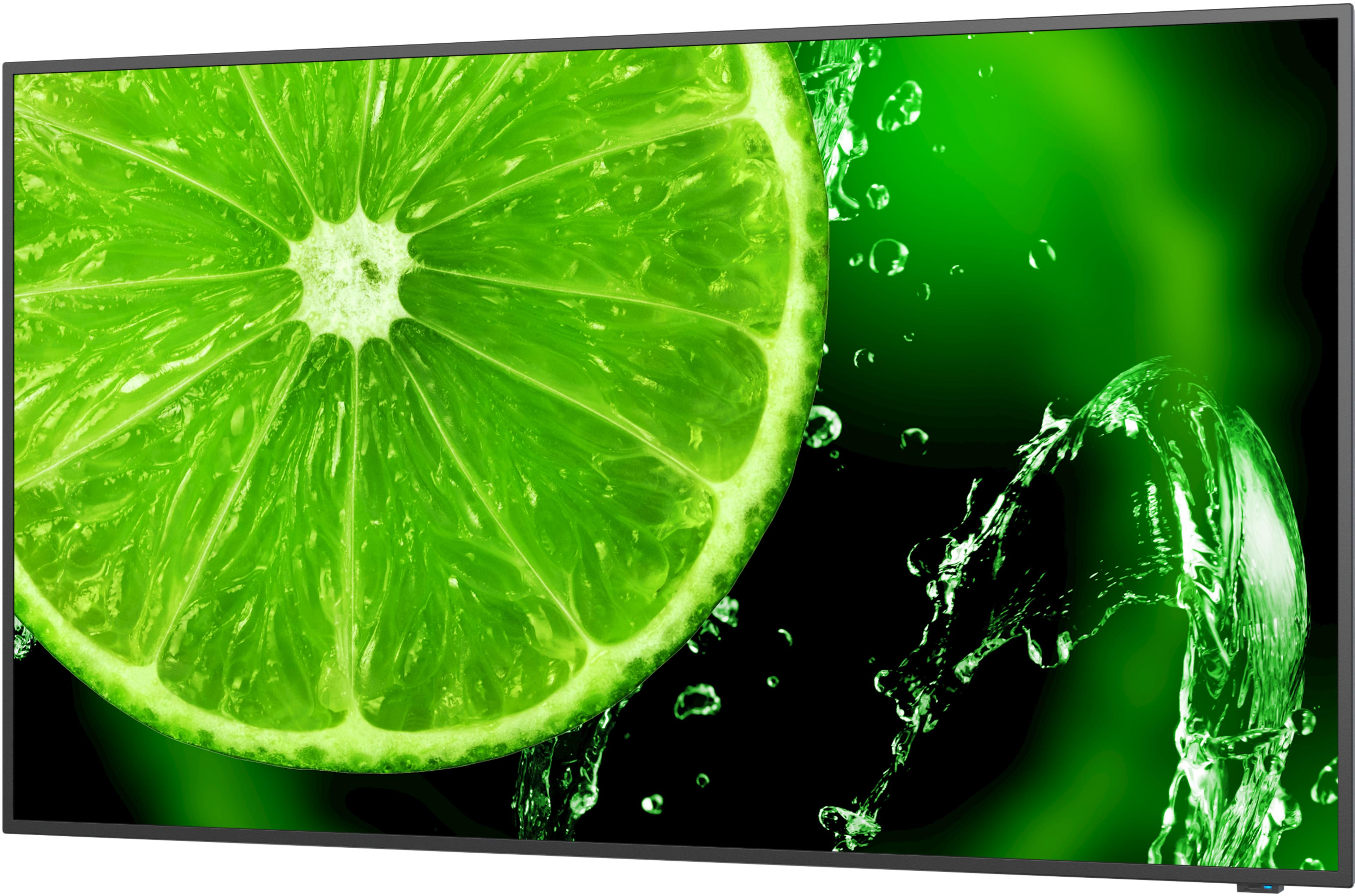 NEC MultiSync E498 Display