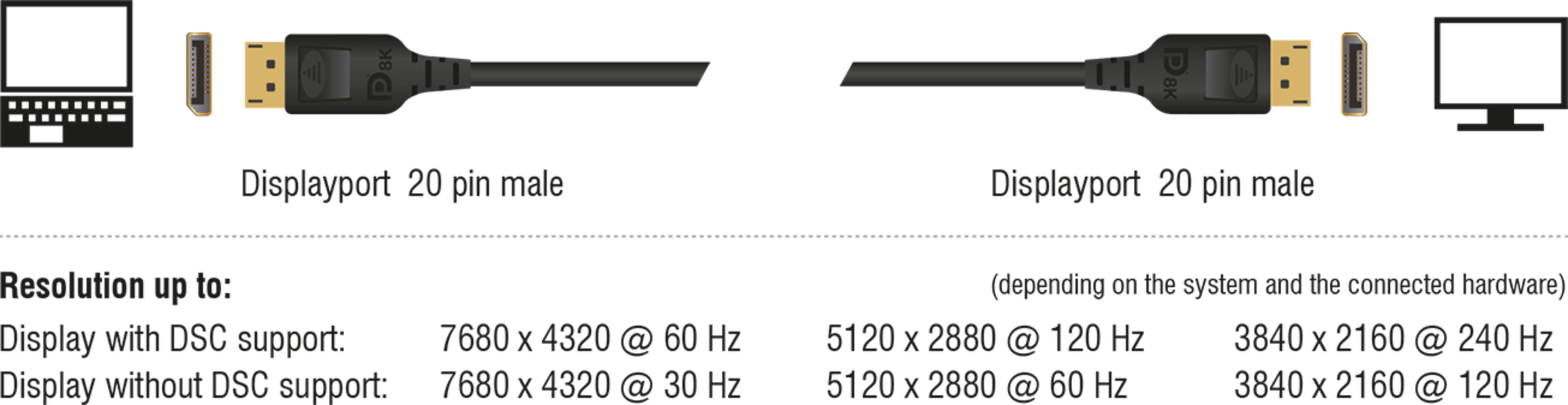 Delock DisplayPort Kabel 5 m