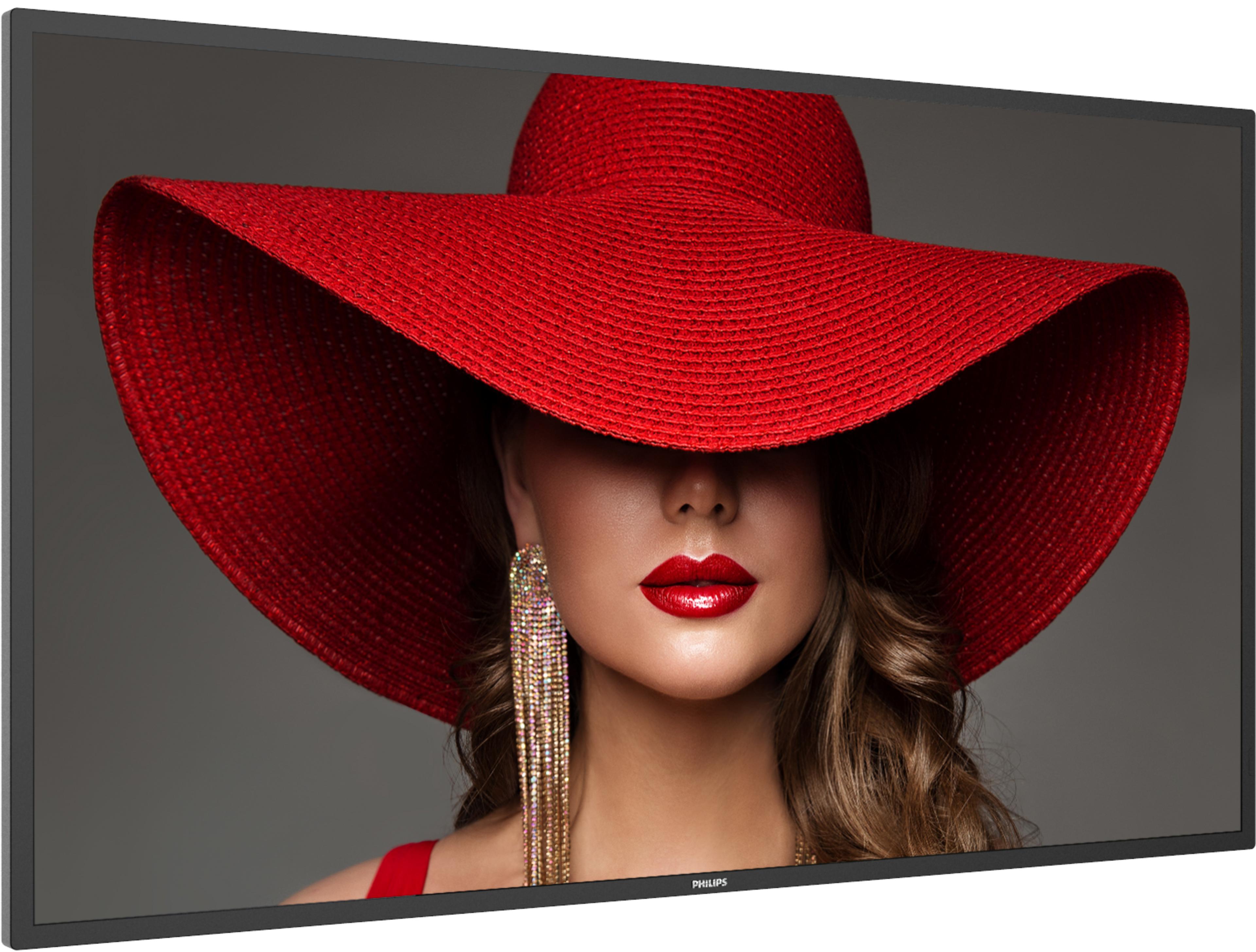 Philips 55BDL4650D Display