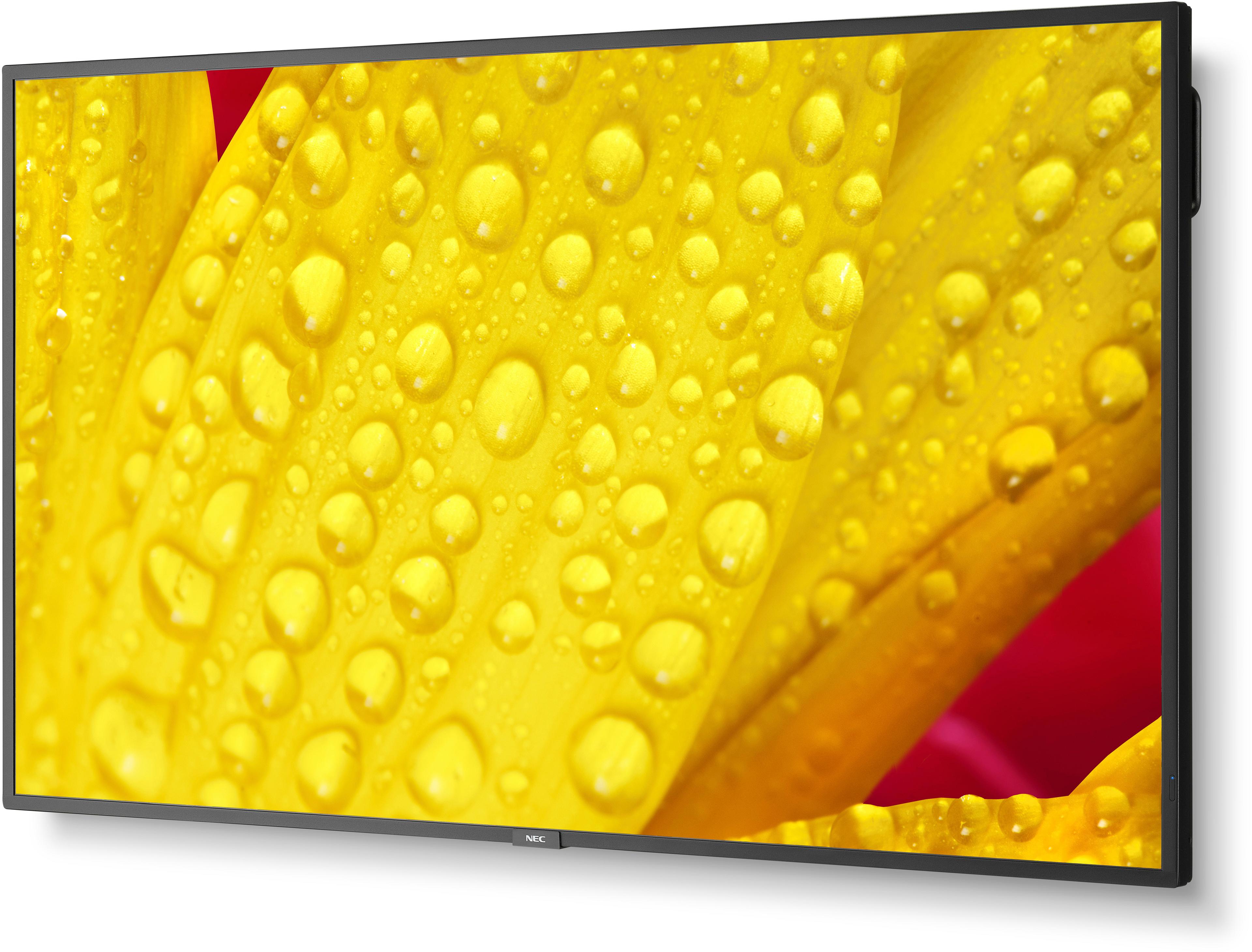 Sharp/NEC M651-2 Display