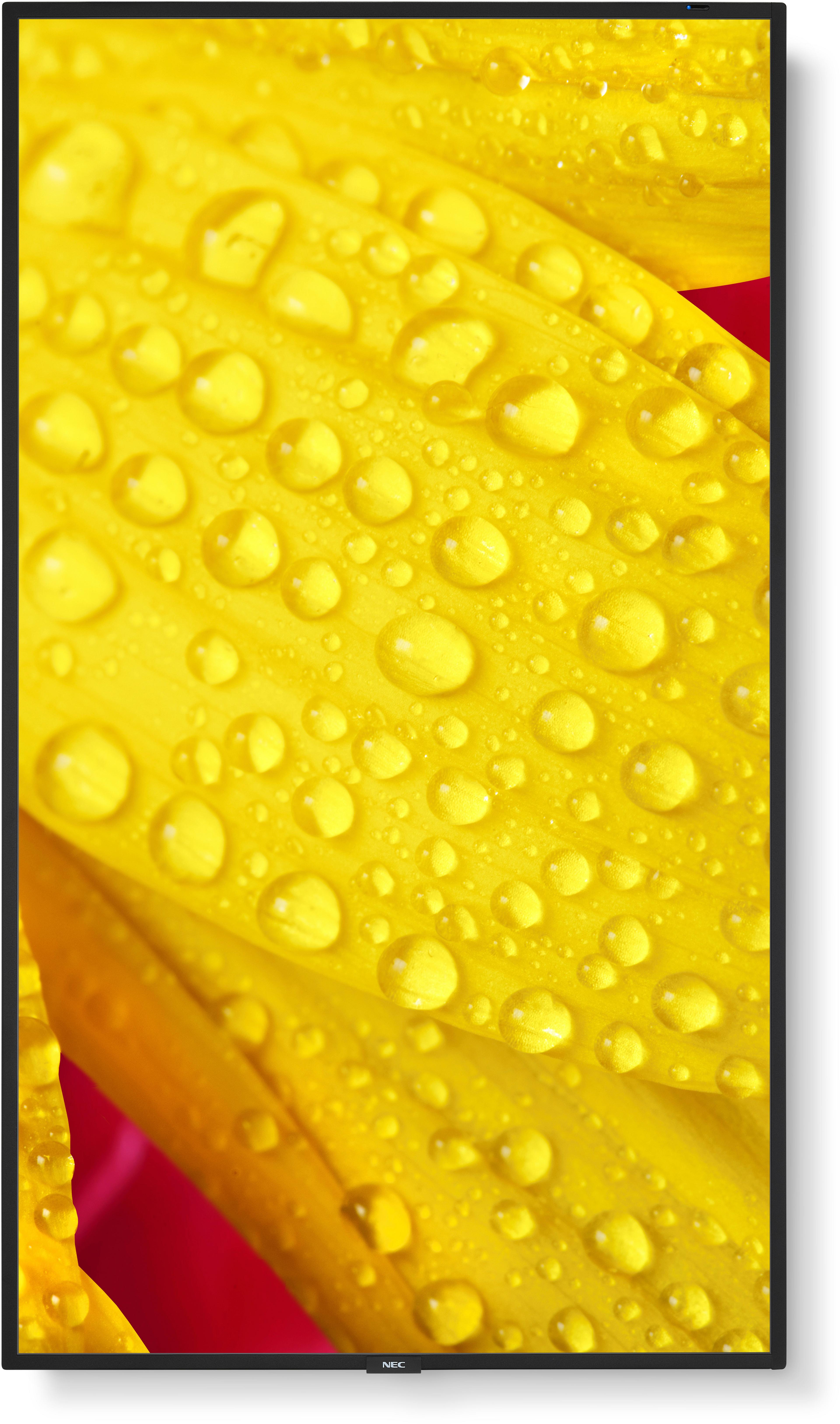 Sharp/NEC M651-2 Display