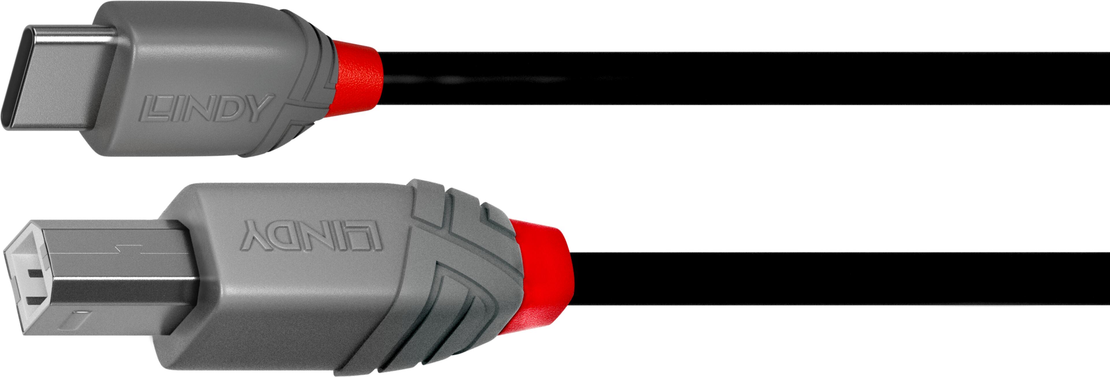 LINDY USB-C to USB-B Cable 1m