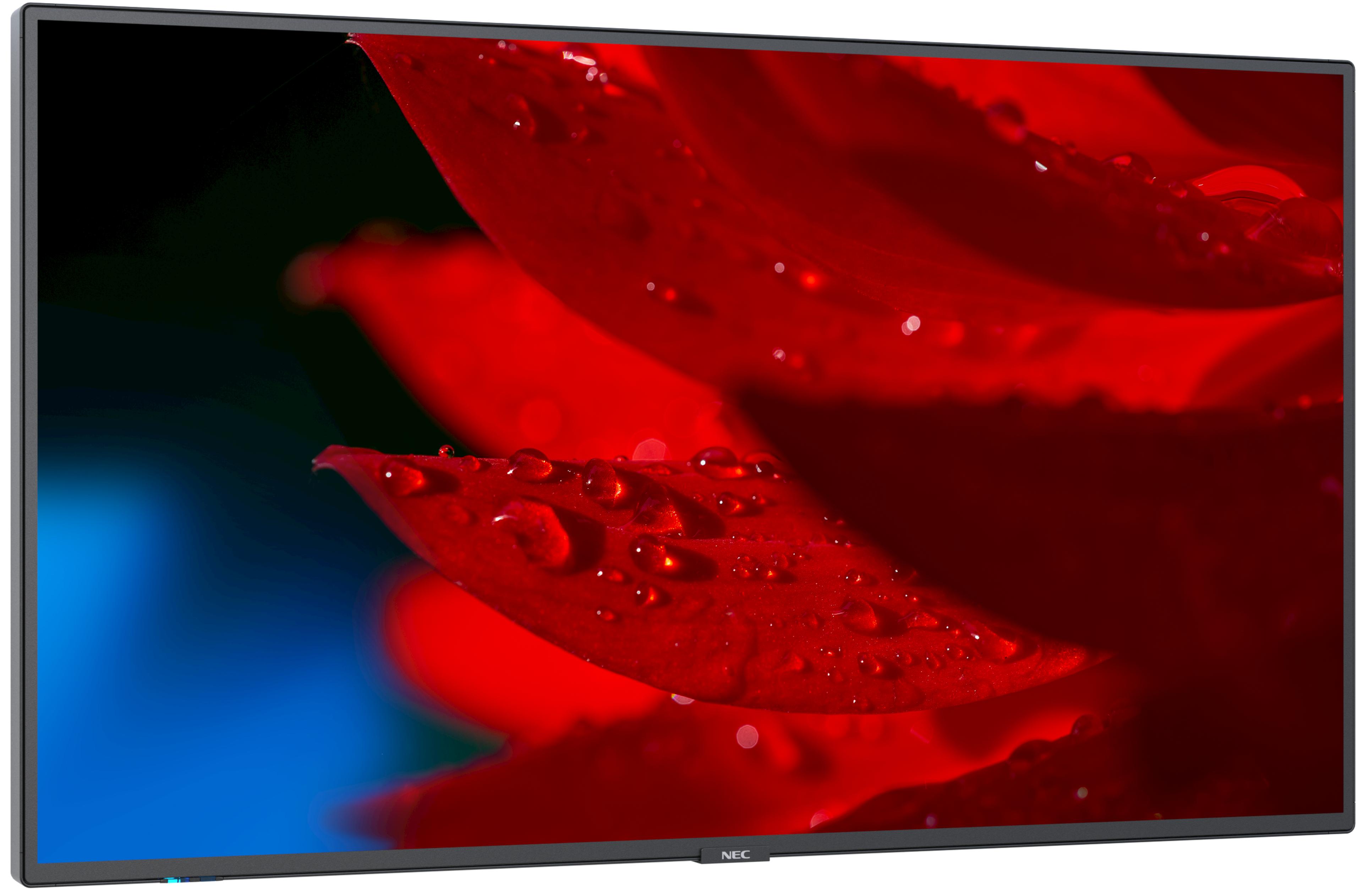 NEC MultiSync MA431 Display