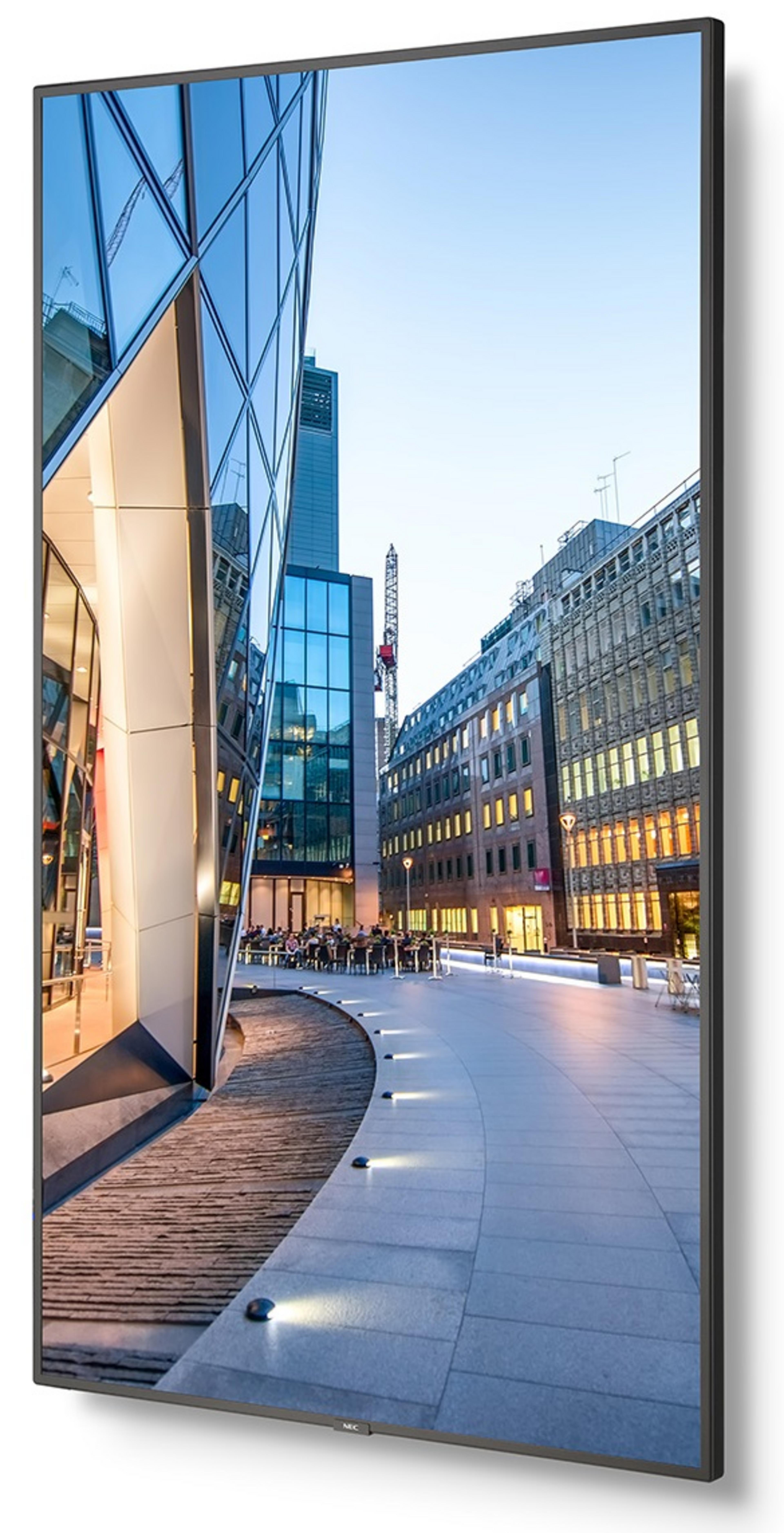 NEC MultiSync C751Q Monitor