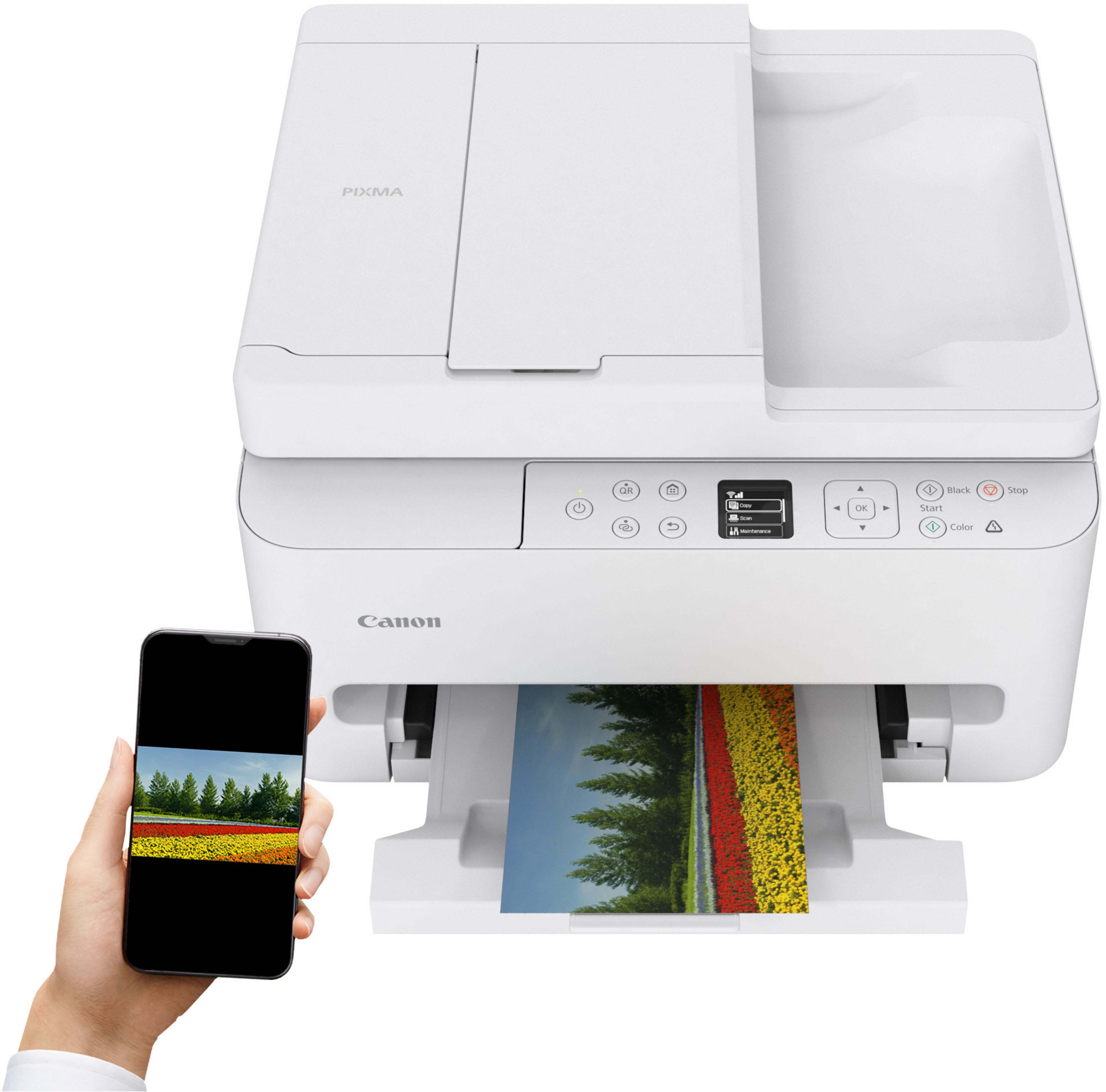 Canon PIXMA TS7550i MFP (opt. mit PPP)