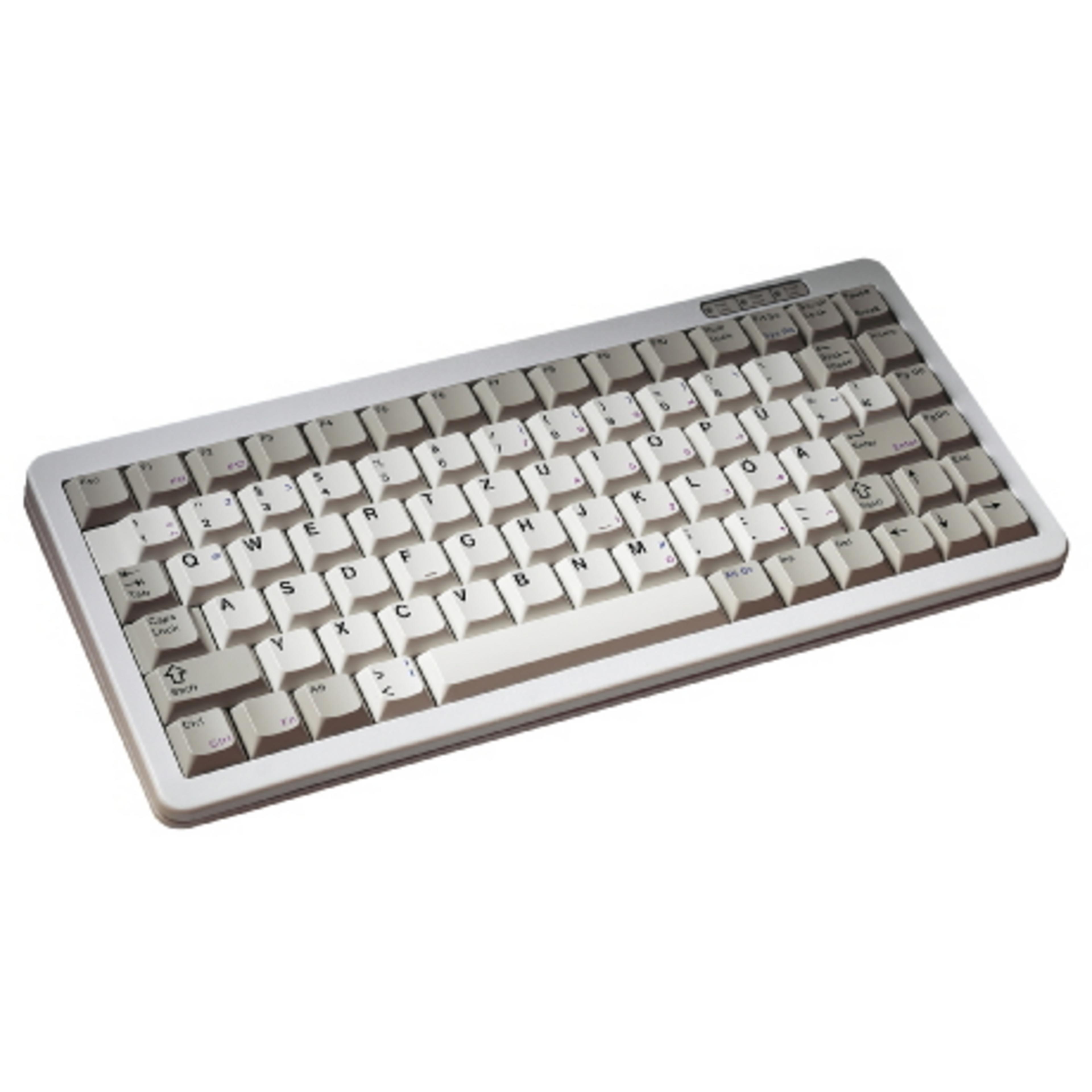 CHERRY G84-4100 Compact Keyboard Grey