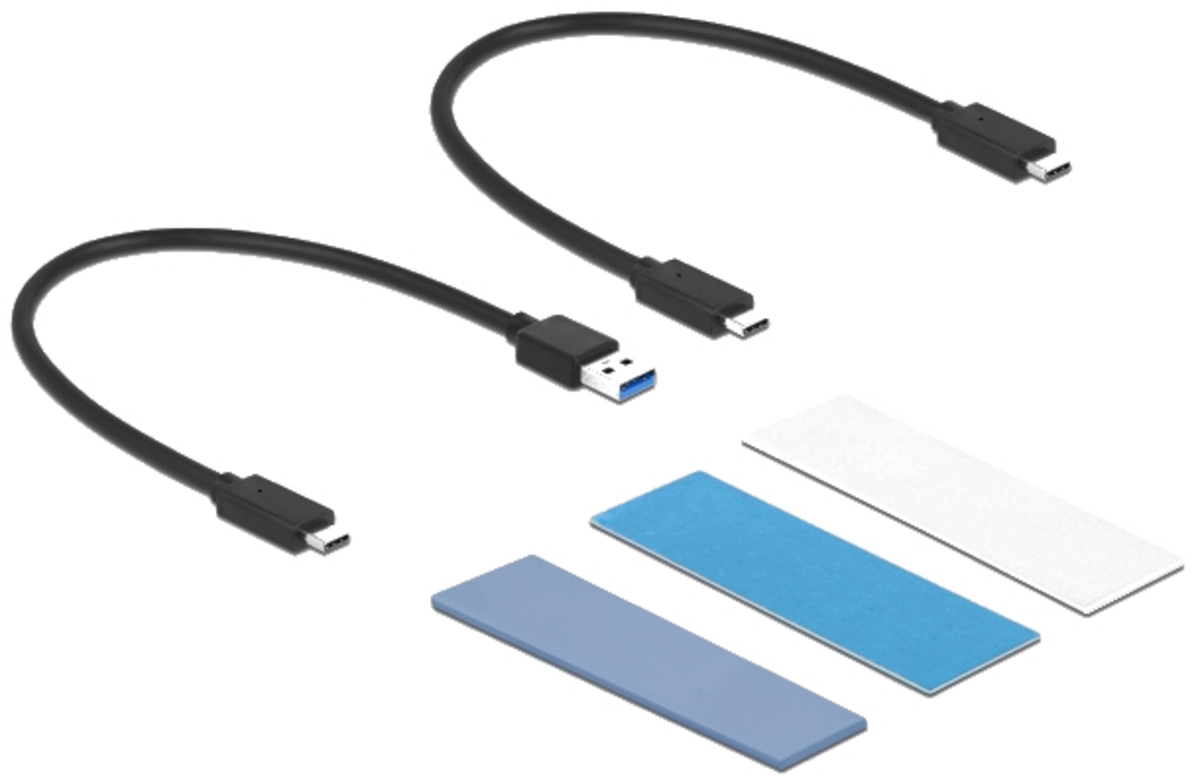 Delock M.2 SSD Enclosure