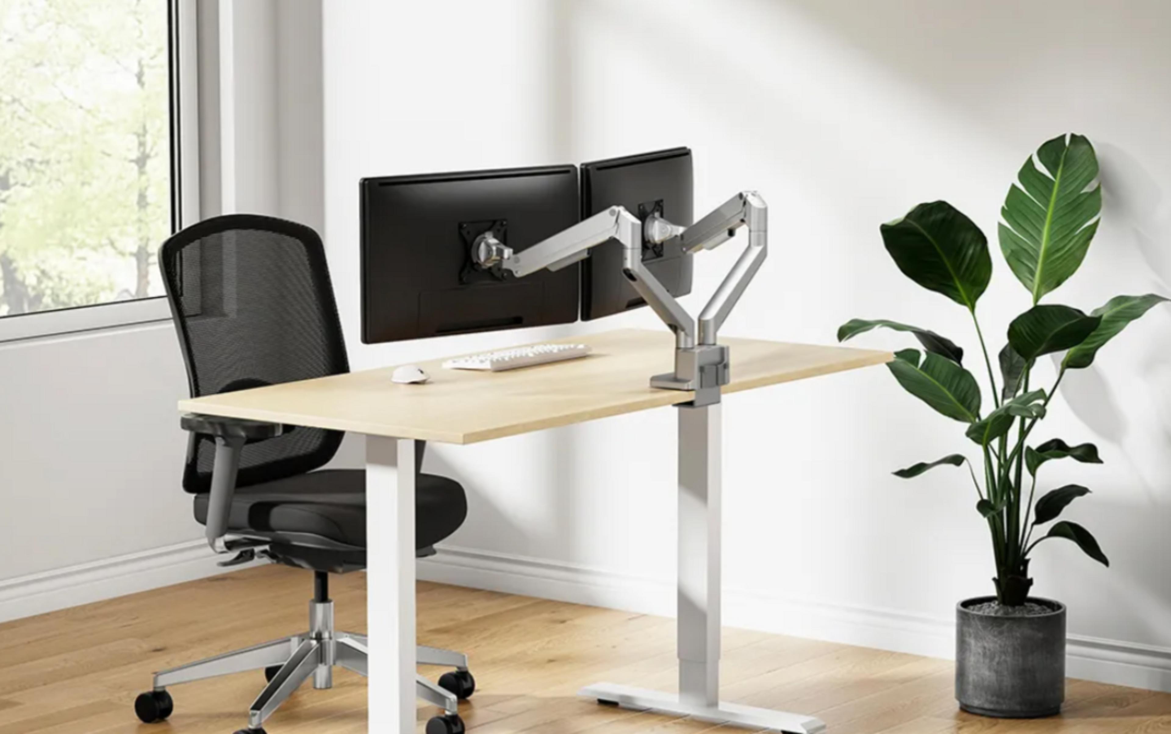 Neomounts DS70-250SL2 Dual Monitor Arm