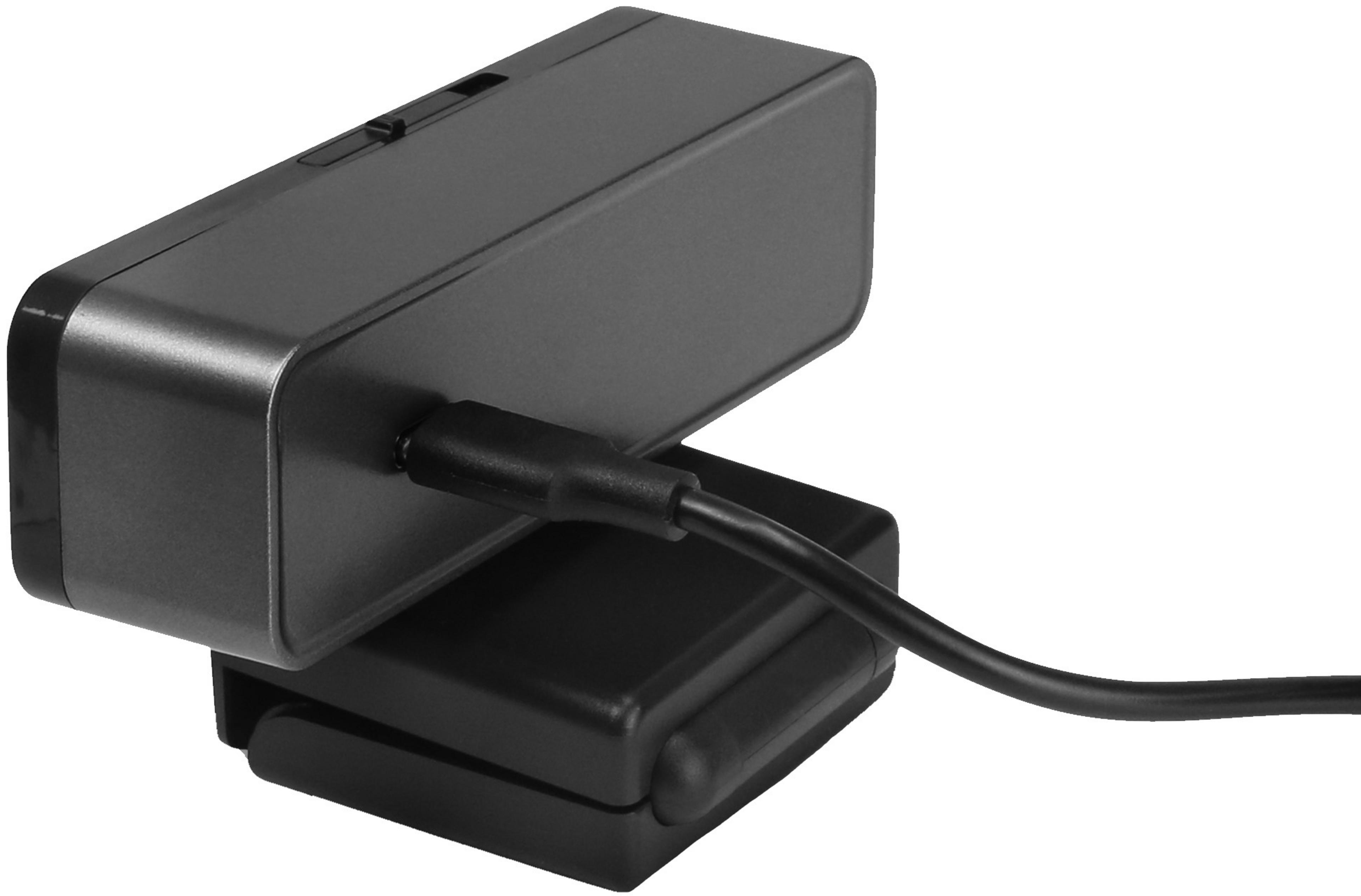 Webcam reconnaissance faciale DICOTA PRO