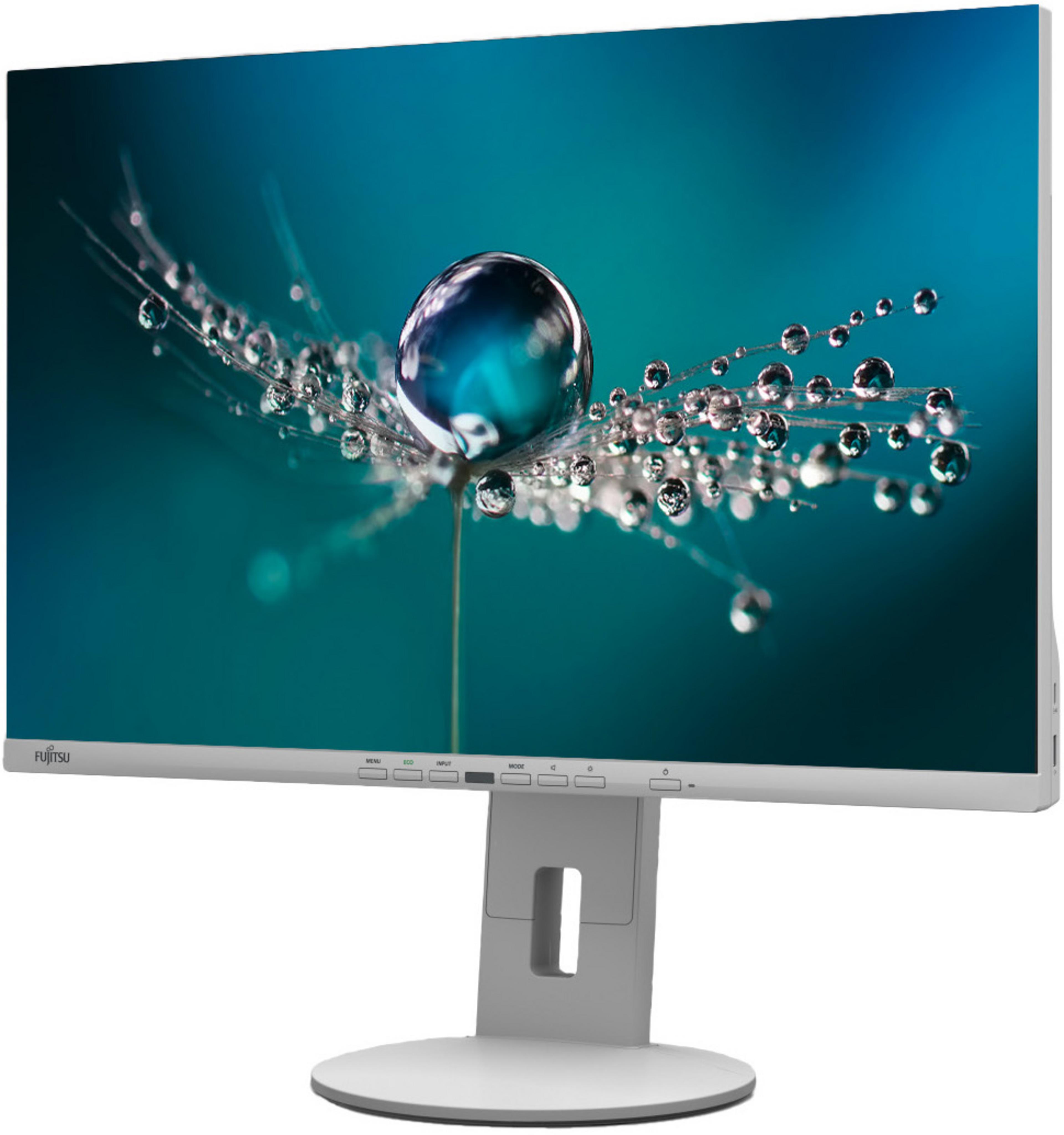 Fujitsu B2410 TE EU Monitor grau
