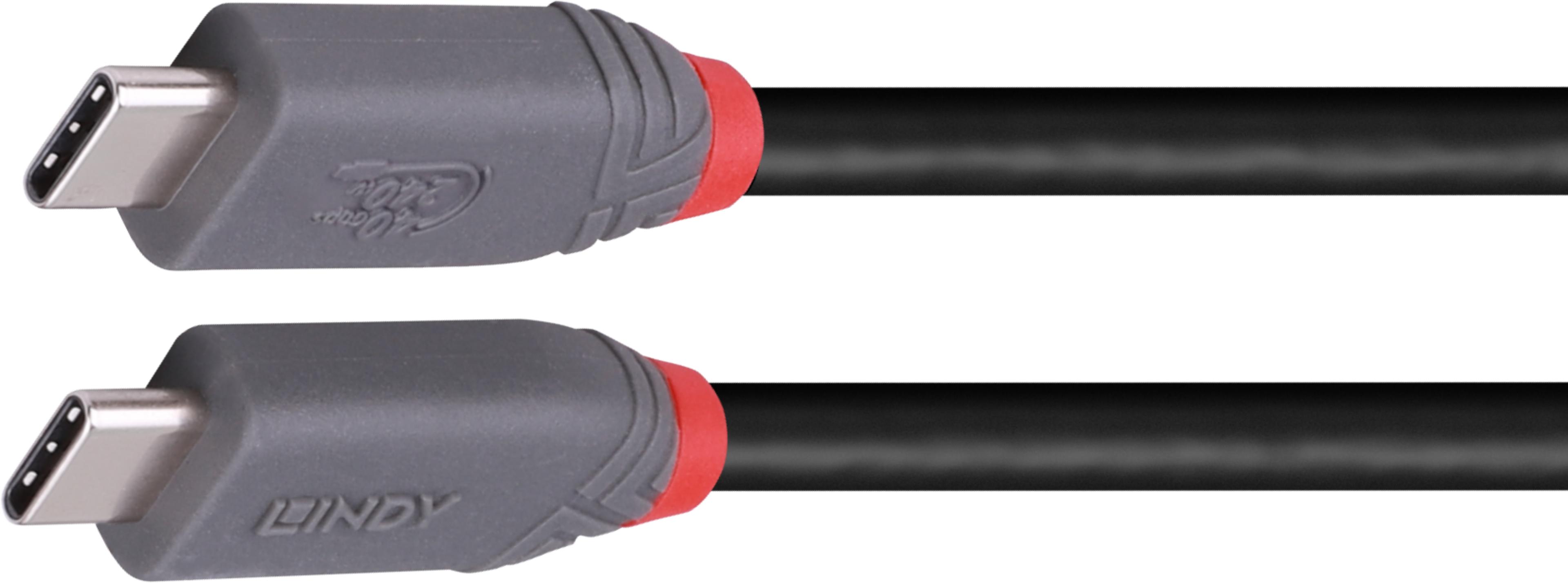 LINDY USB Typ C Kabel 2 m 240 W