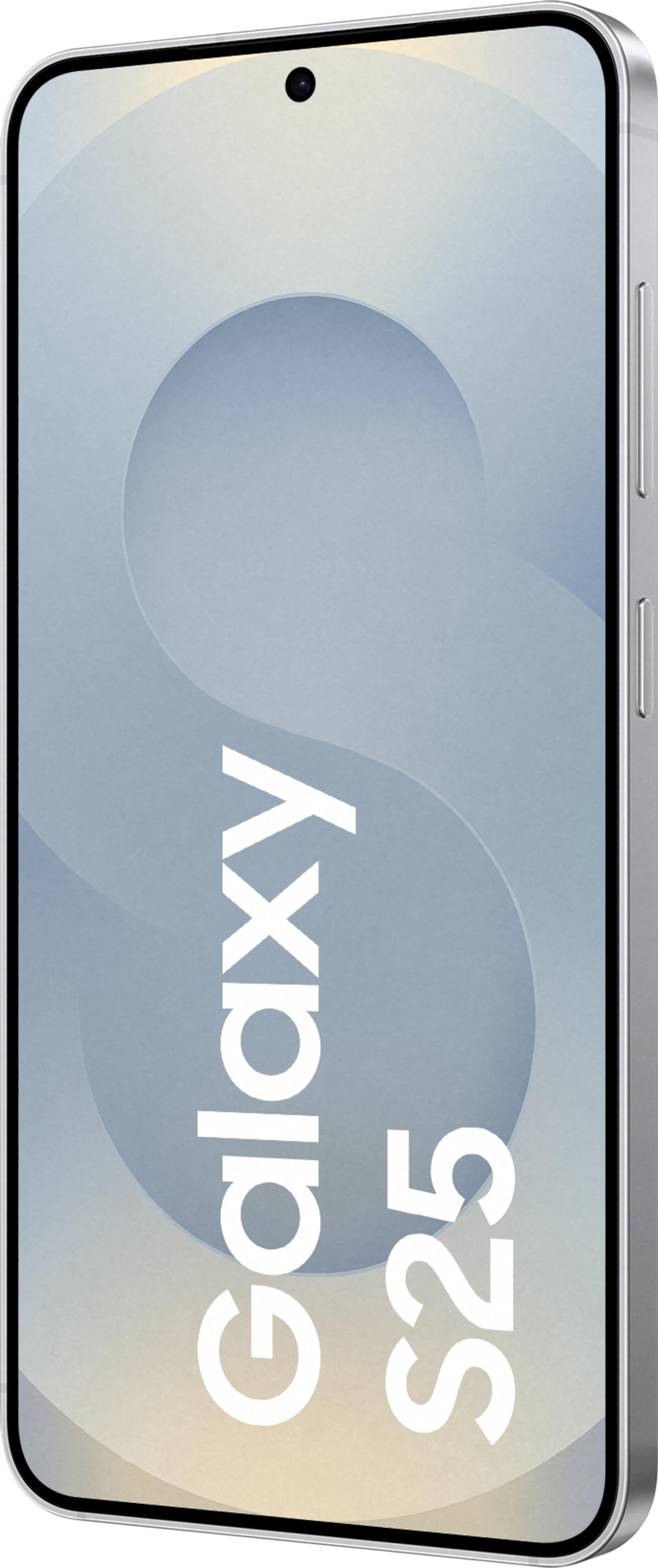 Samsung Galaxy S25 Enterprise Edition