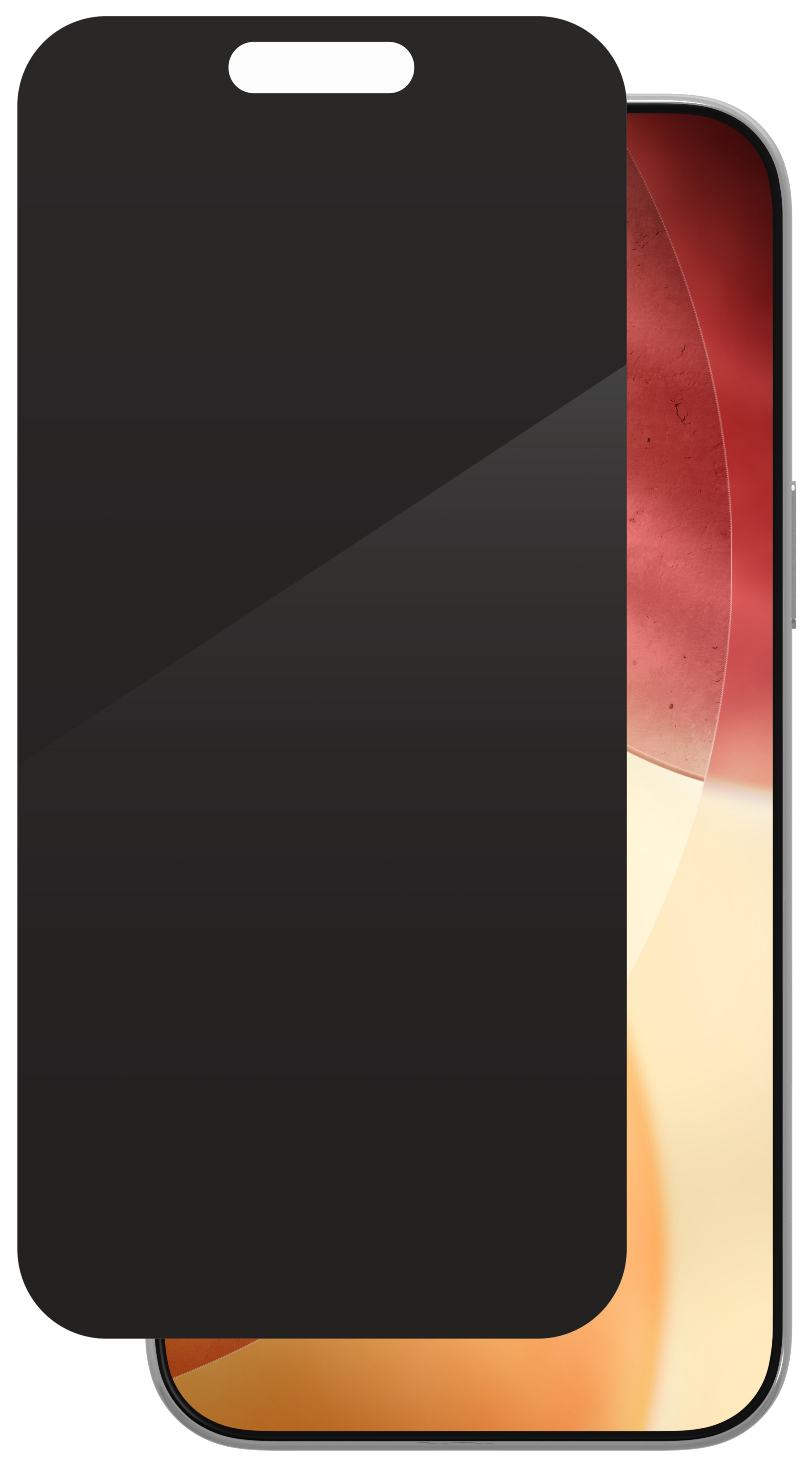 ZAGG Glass Elite iP17 Pro Max Blicksch.