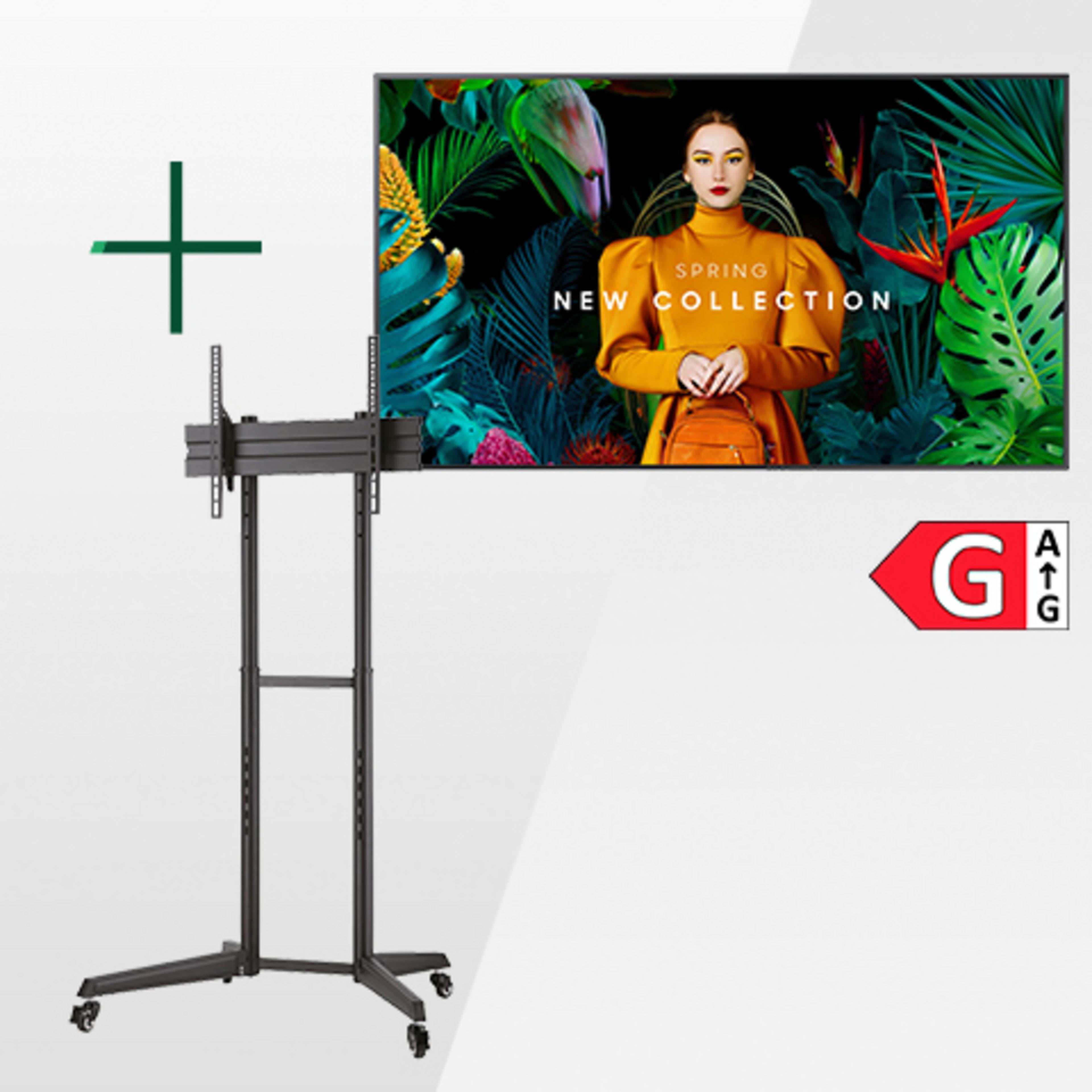 Samsung QB55C Display + Rollständer