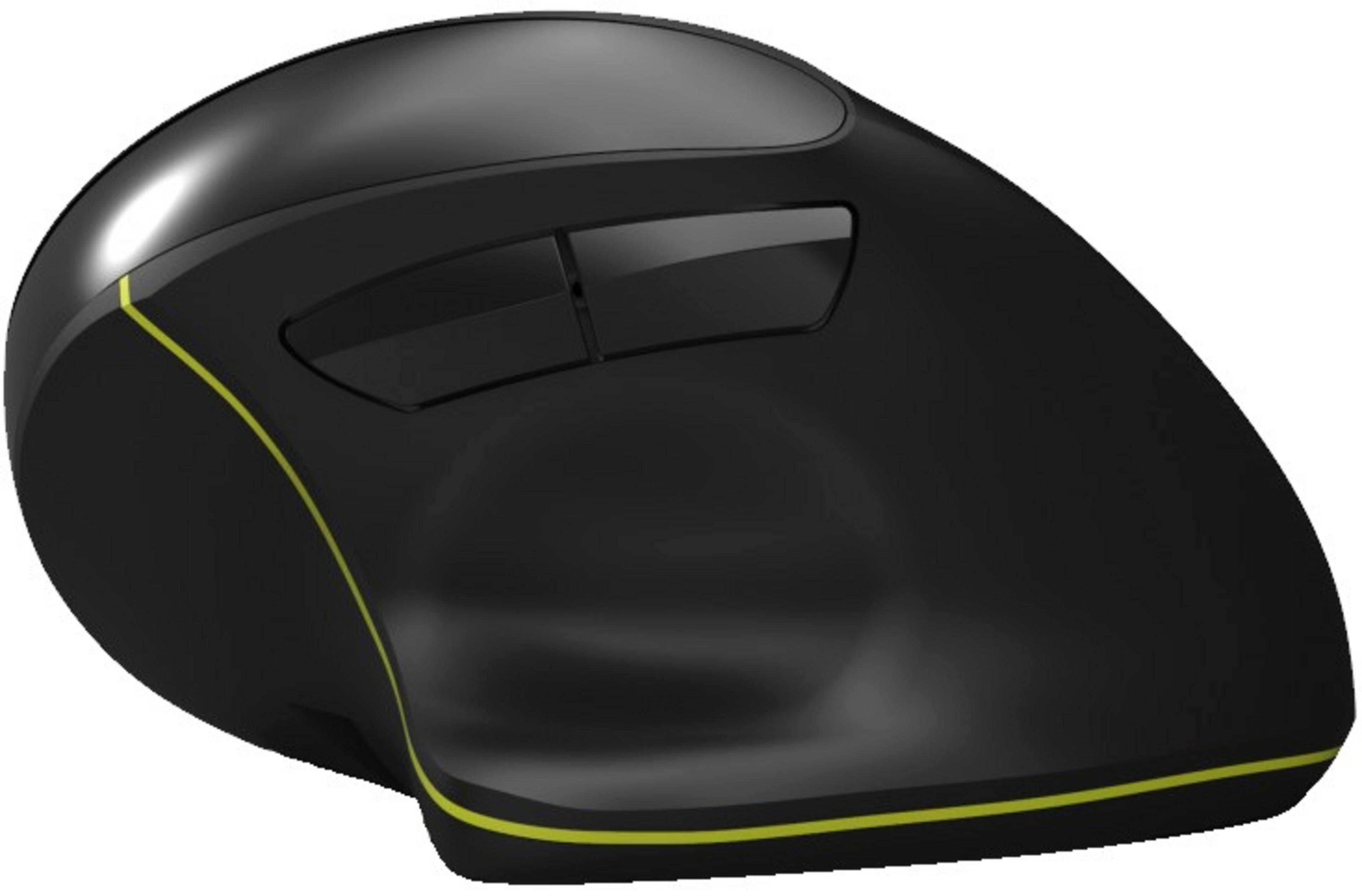 Port ergonomische Maus
