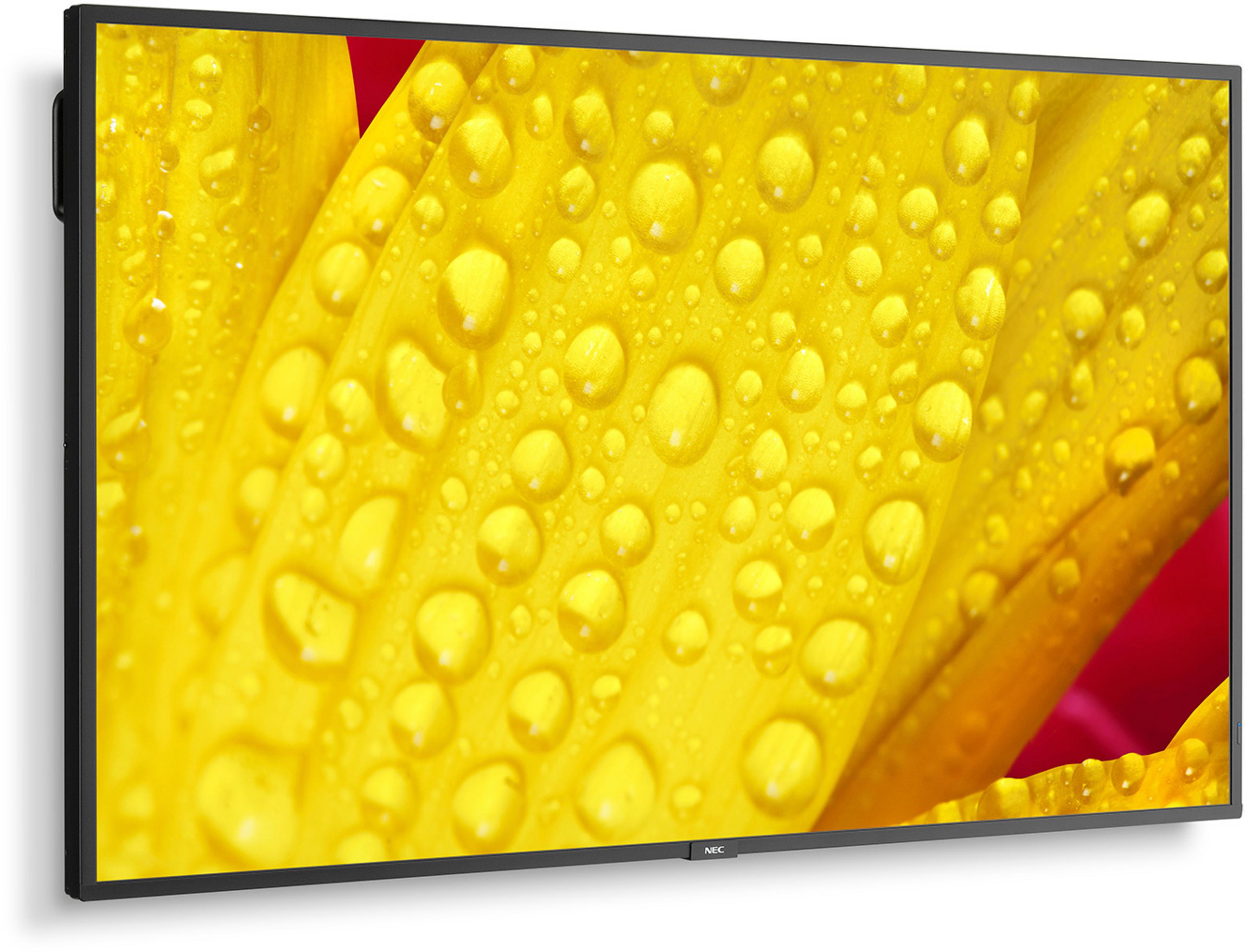 Sharp/NEC M651-2 Display