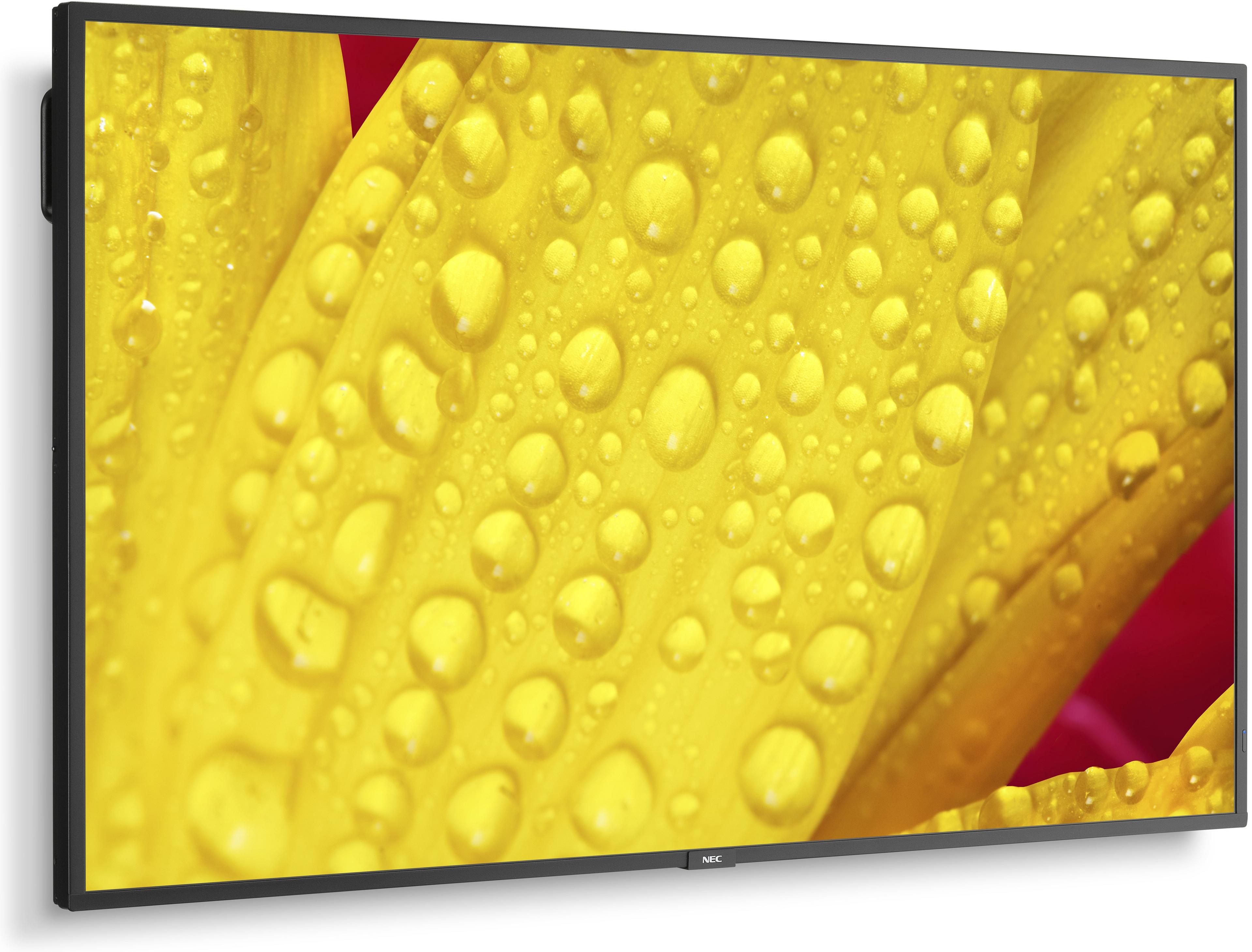 NEC MultiSync ME431 Display