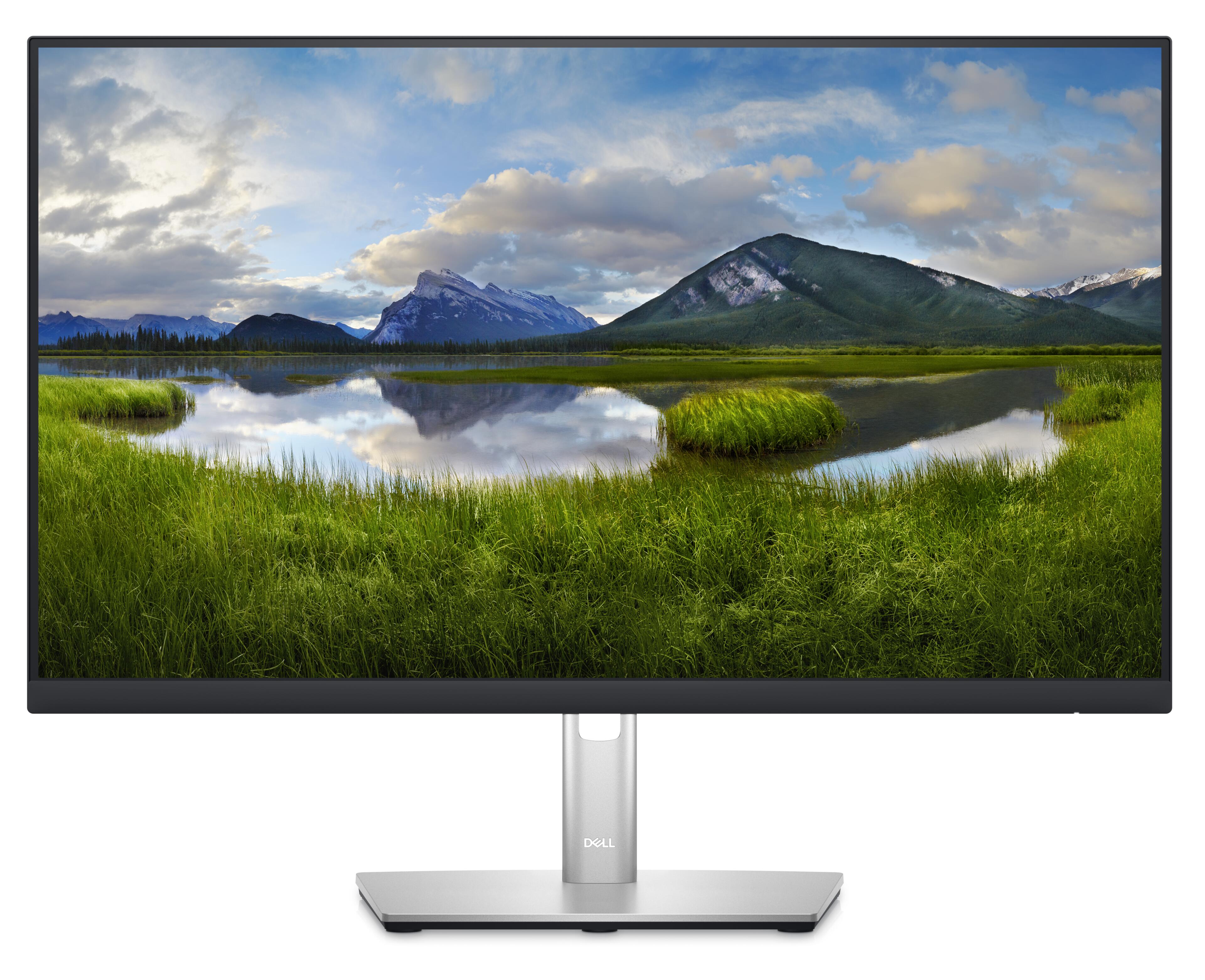 Dell Professional P2423DE Monitor