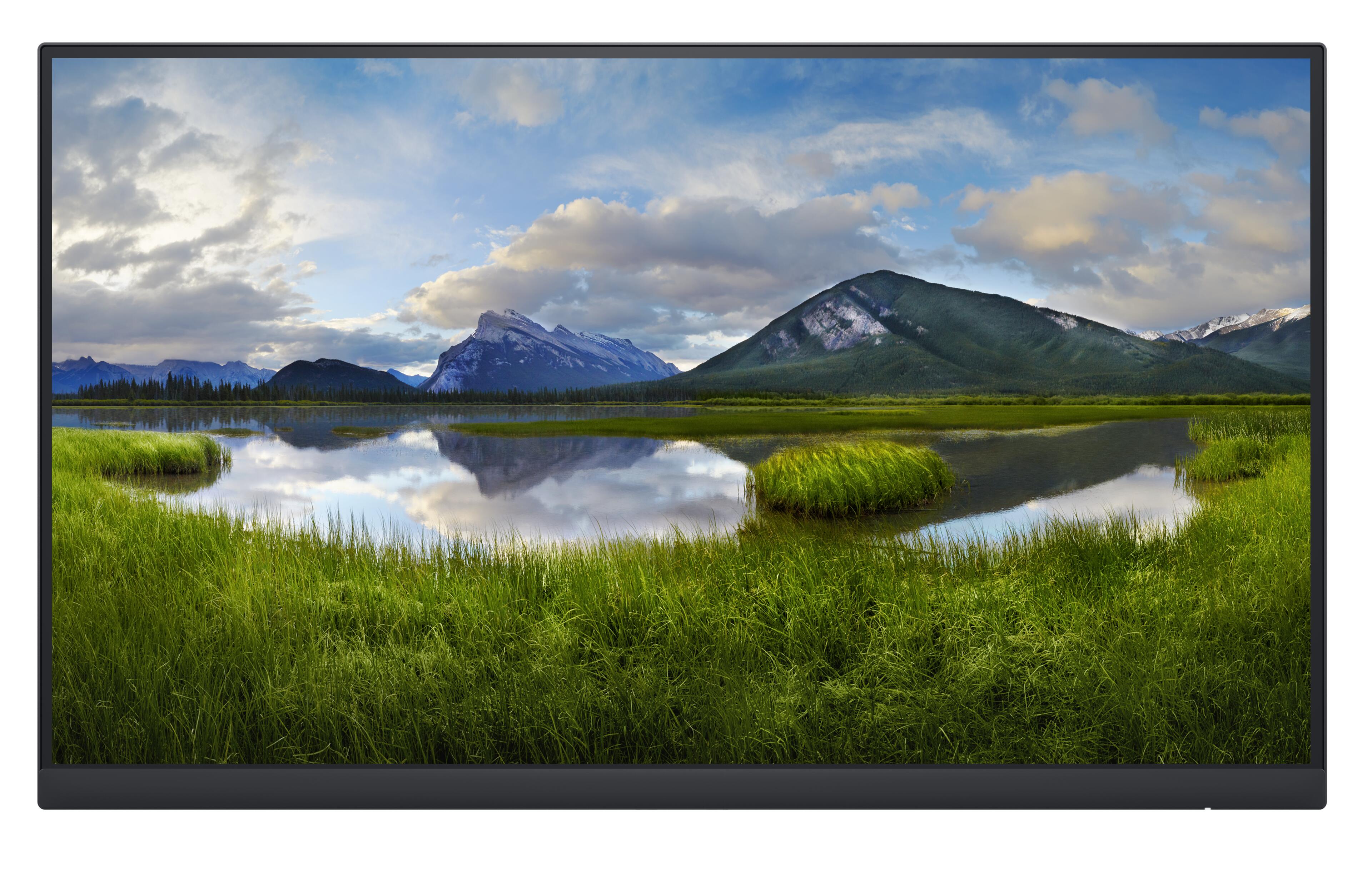 Monitor s/ base Dell Professional P2222H