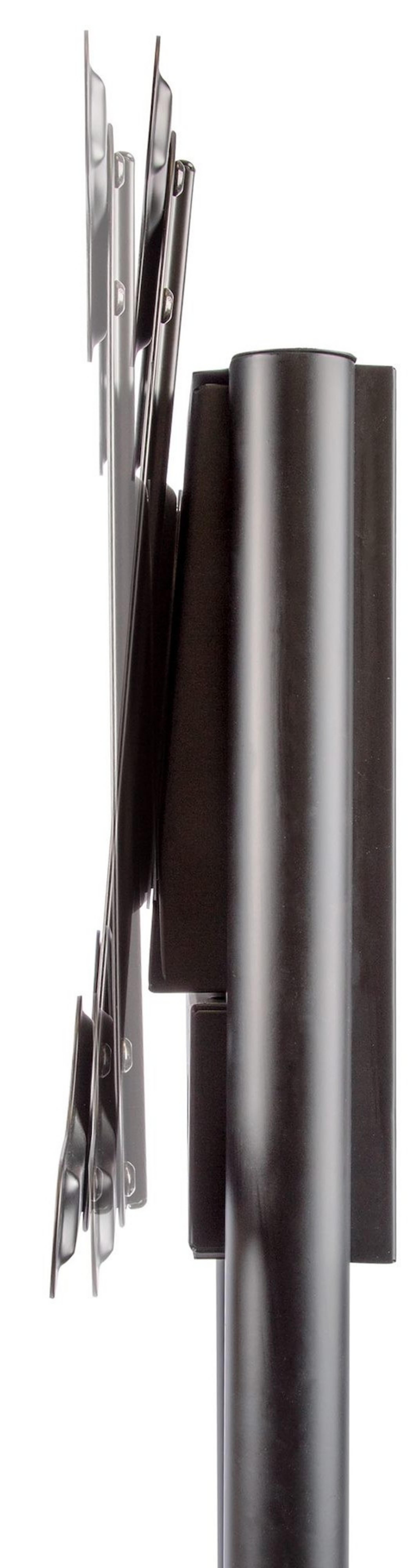 StarTech Mobile TV Cart