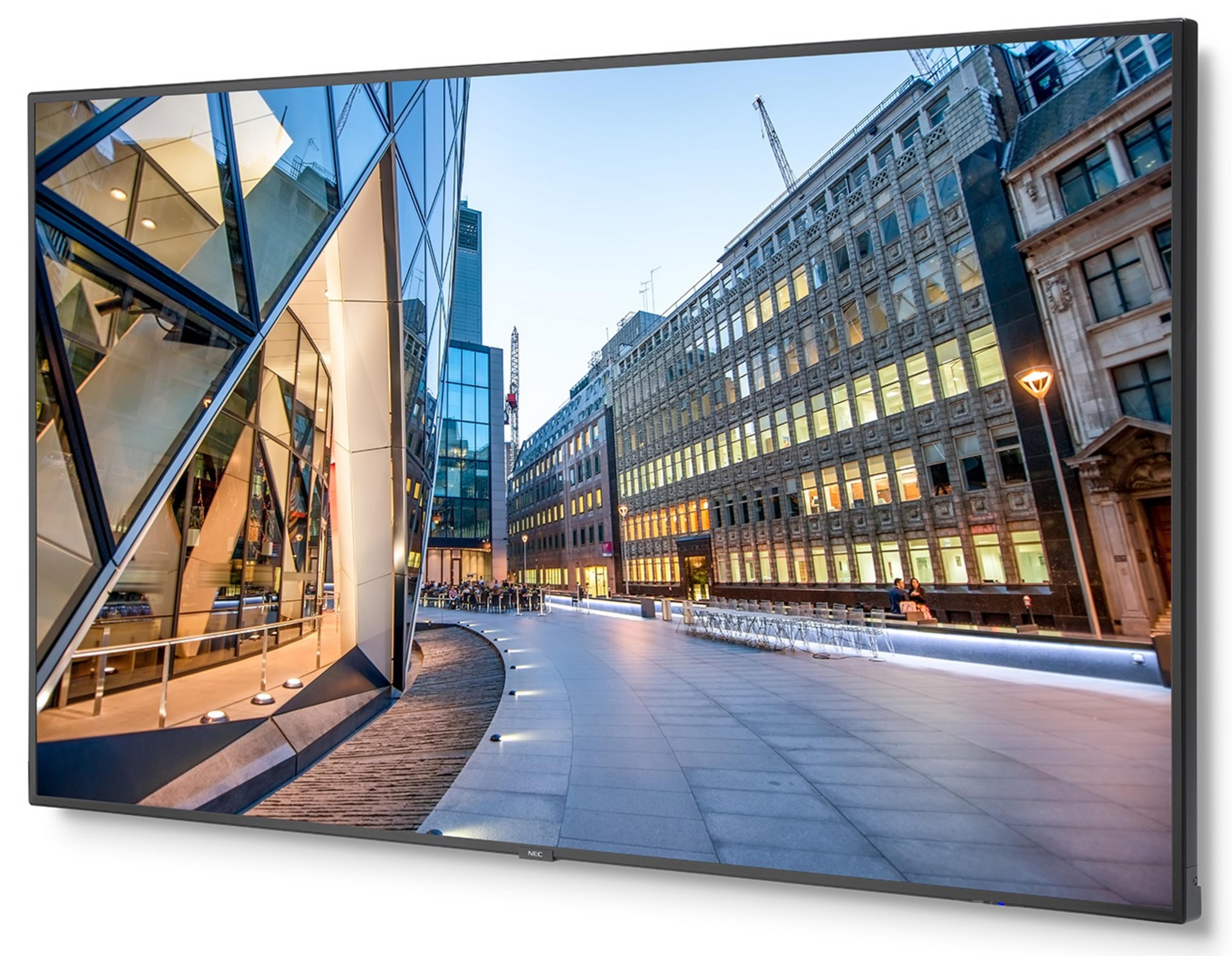 NEC MultiSync C751Q Monitor