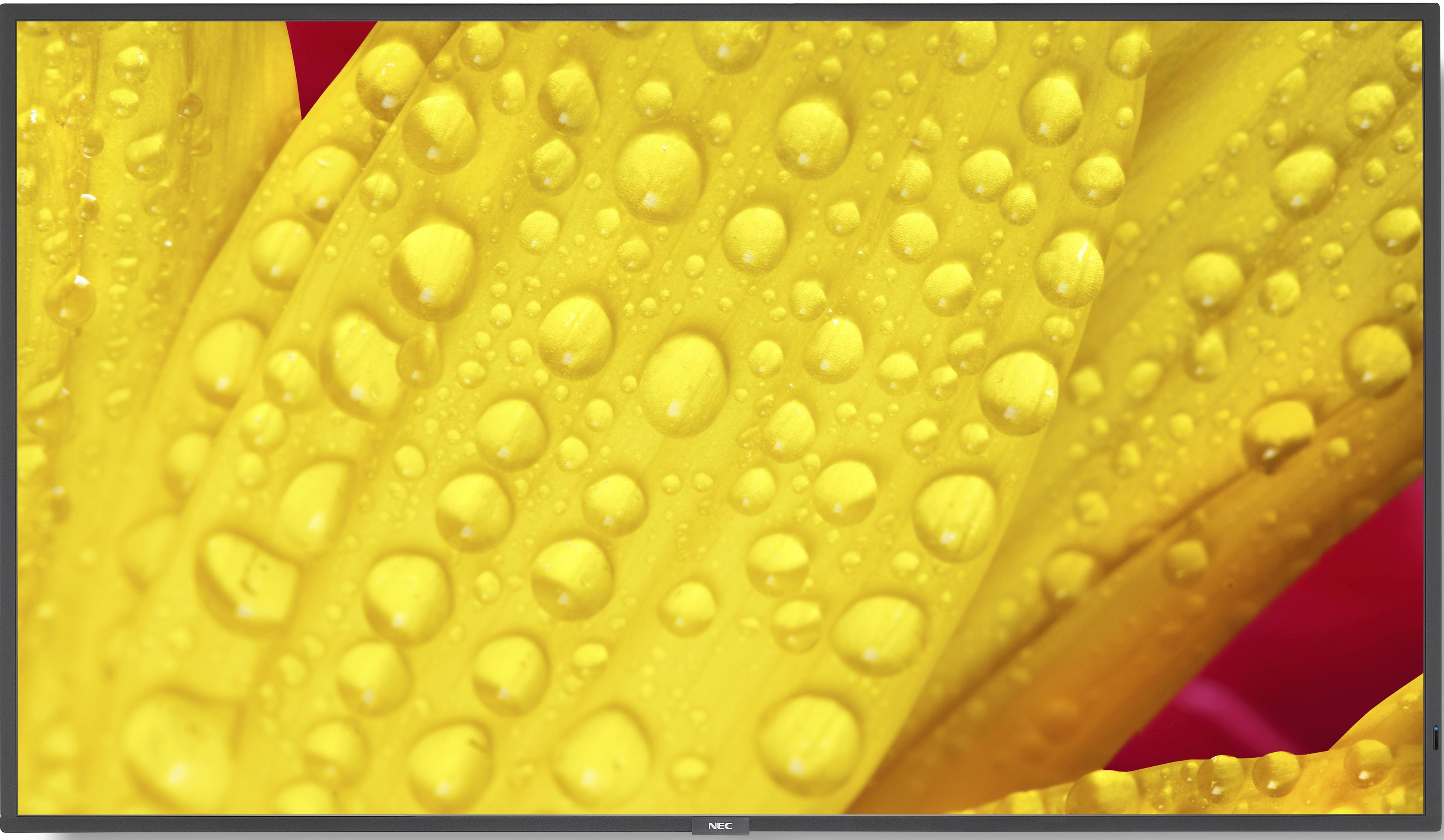 NEC MultiSync ME431 Display