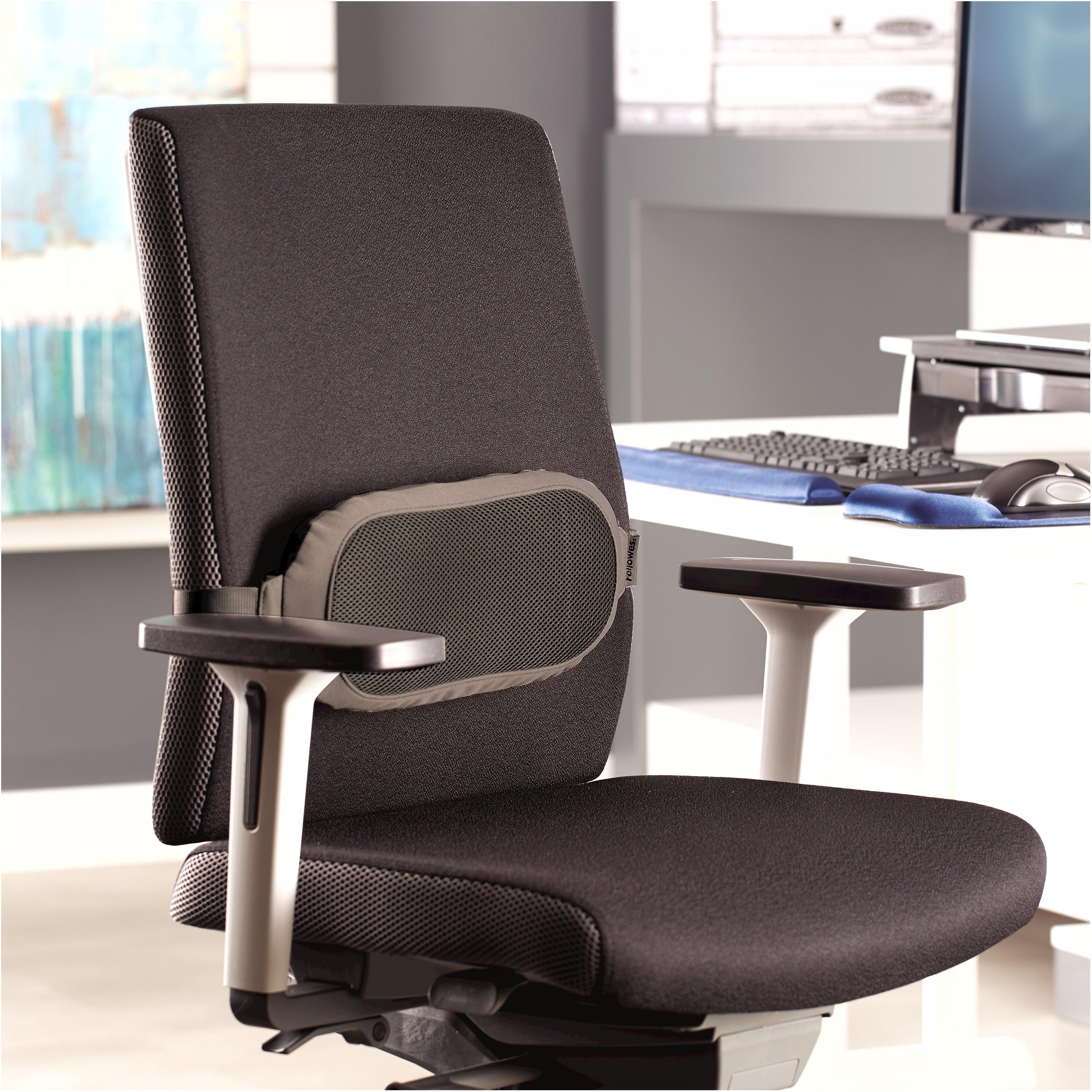 Fellowes I-Spire Lumbar Cushion