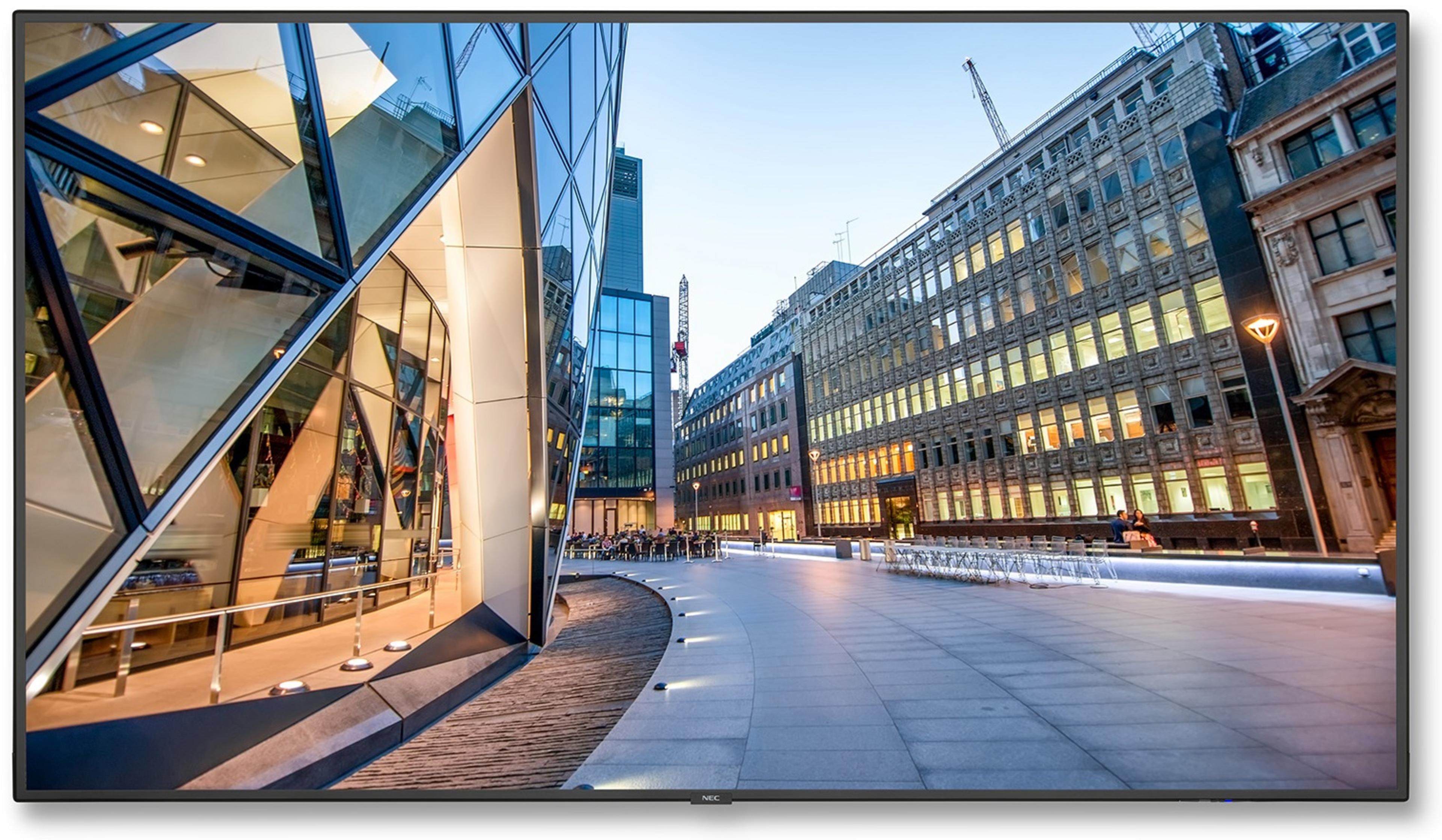 NEC MultiSync C981Q Display