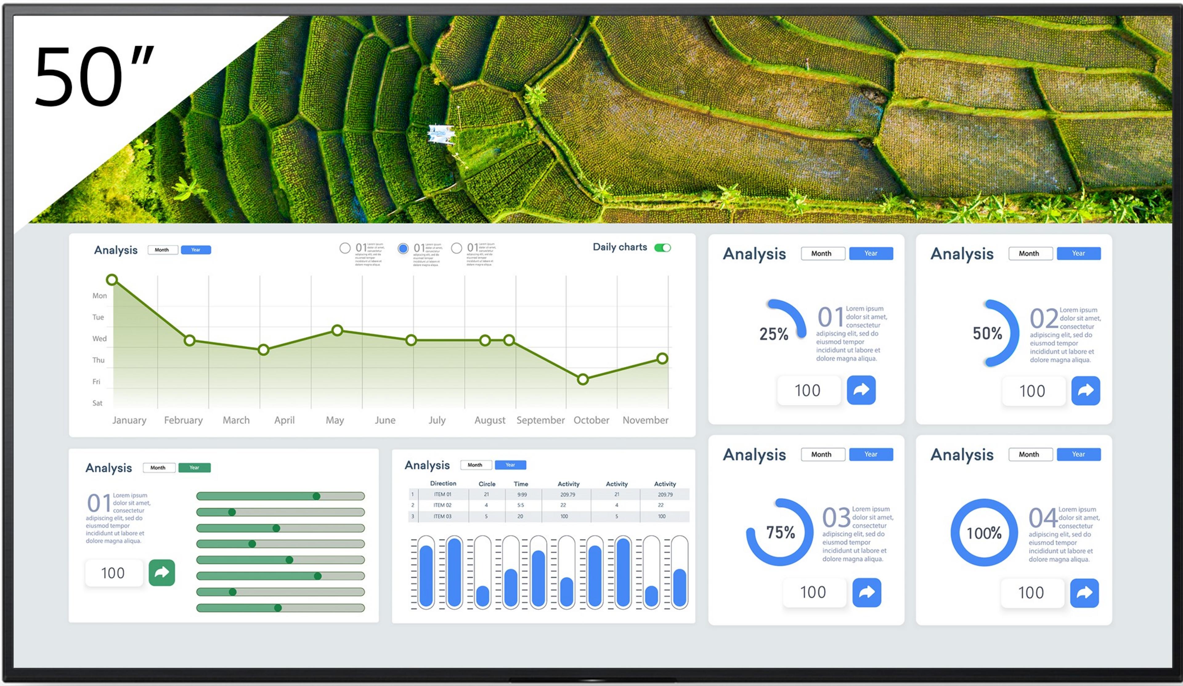 Sony Bravia FW-50BZ30L Display