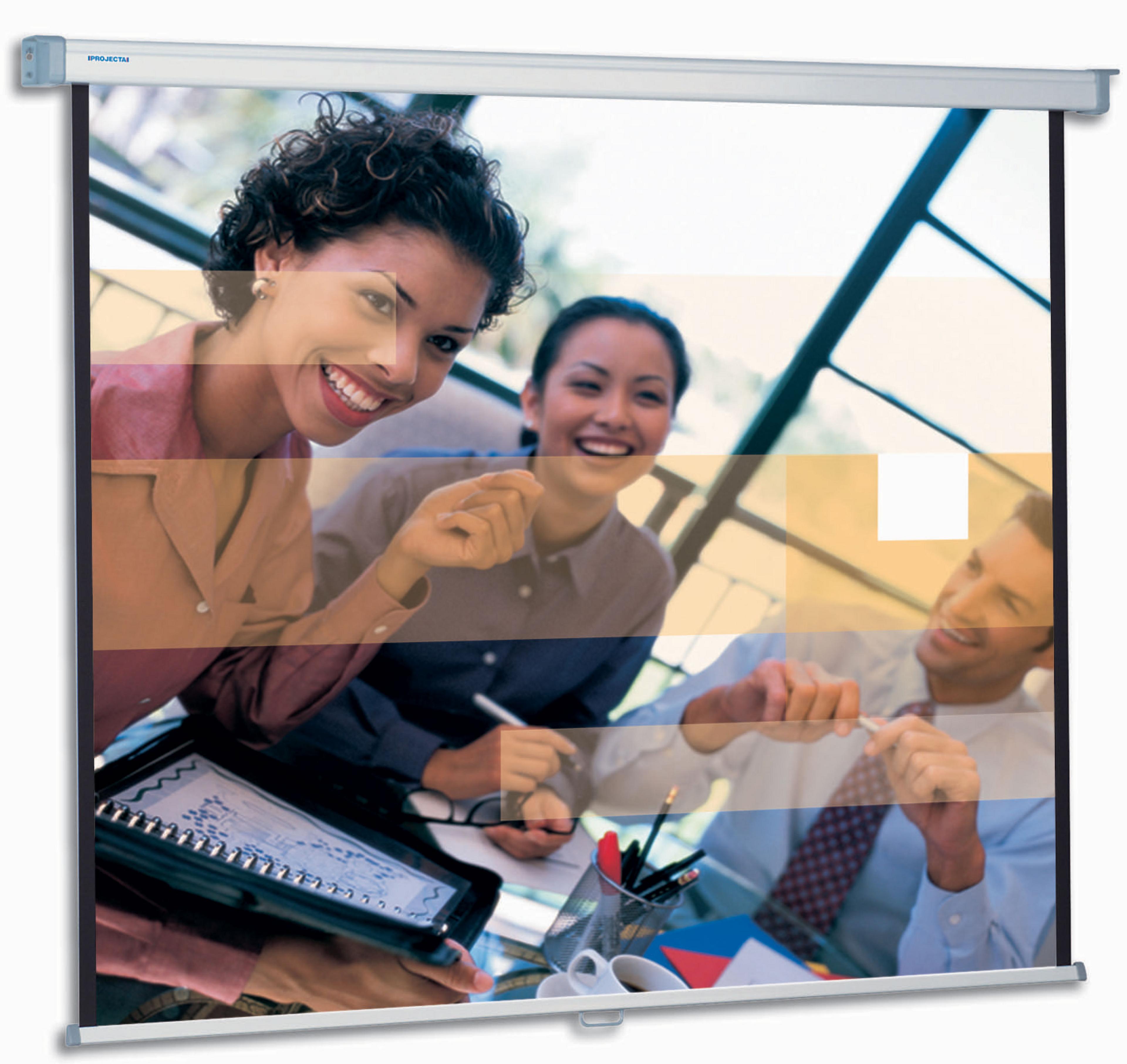 Projecta 200x200cm Projection Screen