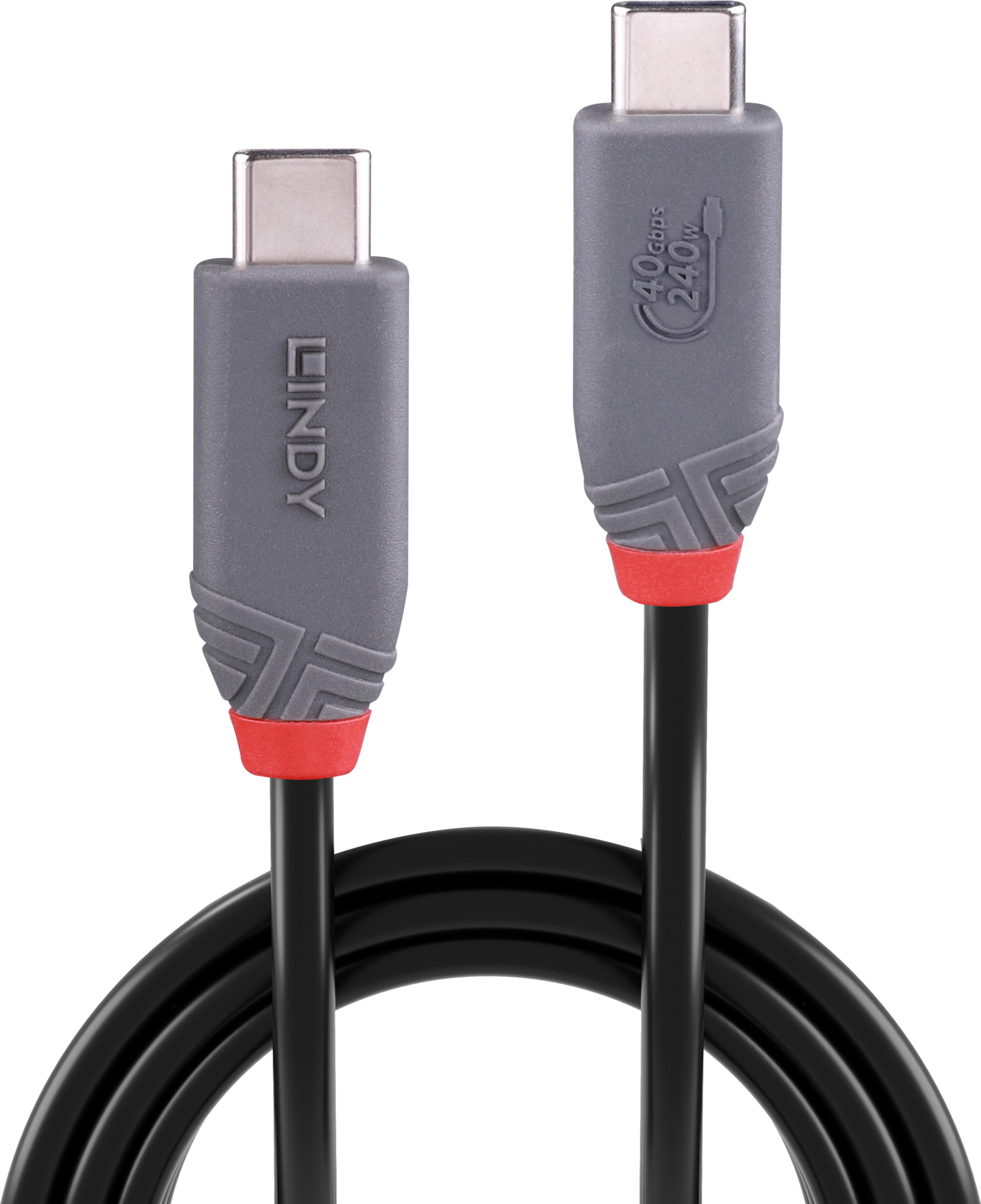 LINDY USB Typ C Kabel 2 m 240 W