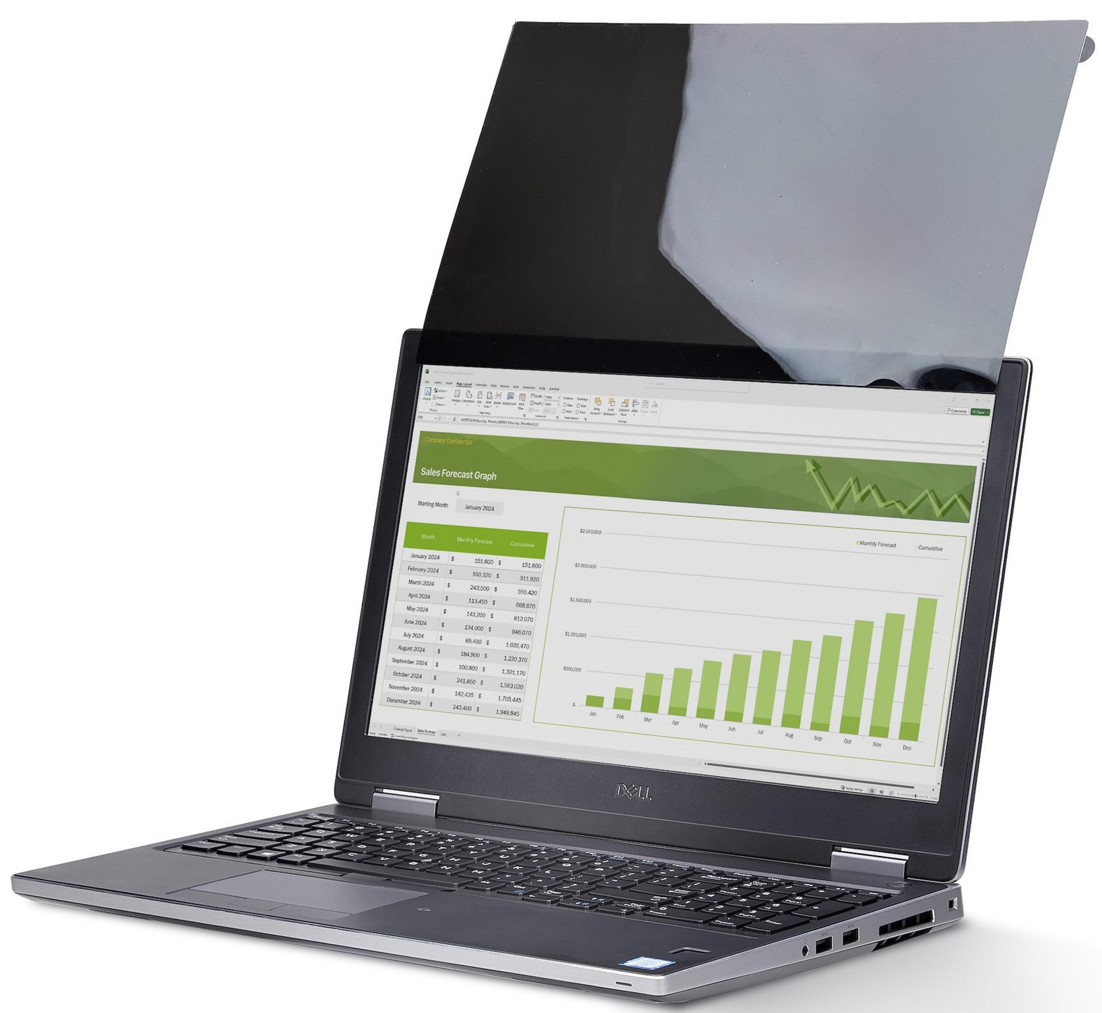 StarTech 17.3" Privacy Filter