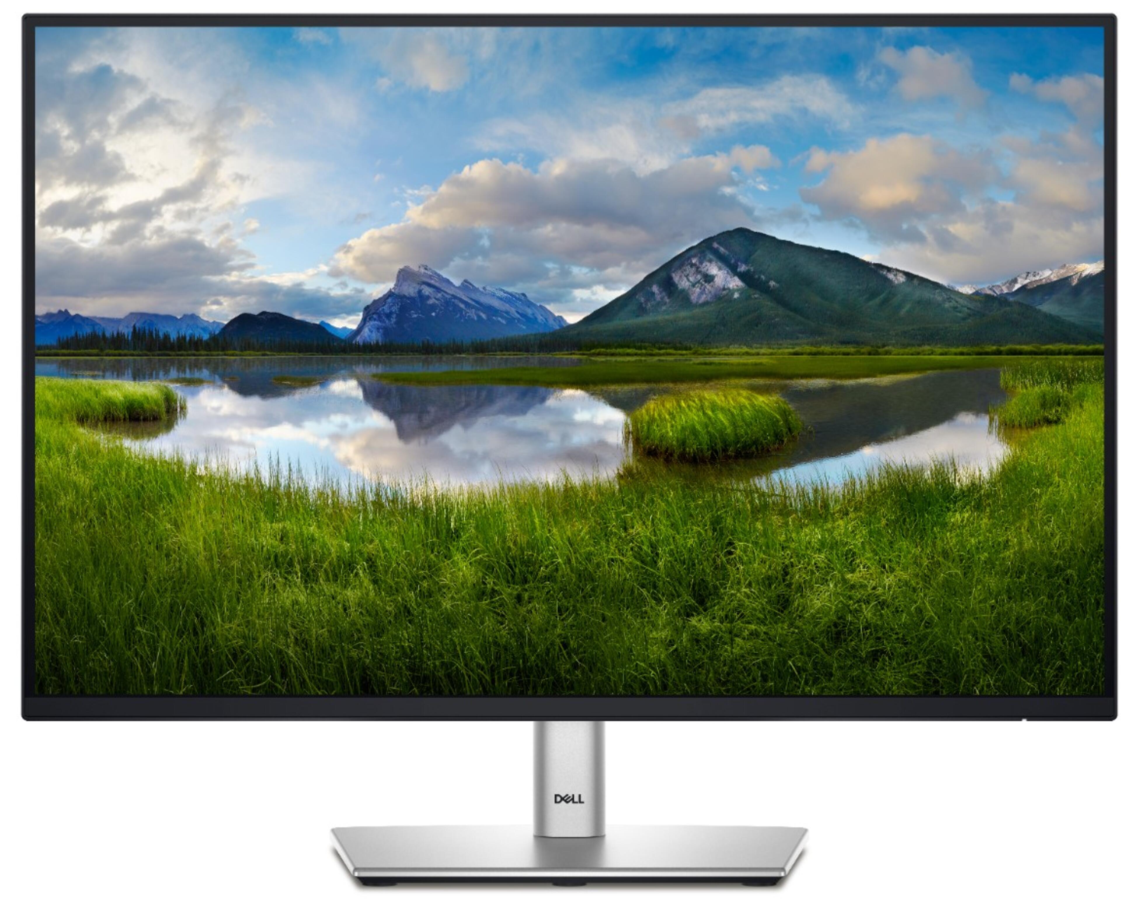 Dell Pro 24 Plus P2425 Monitor