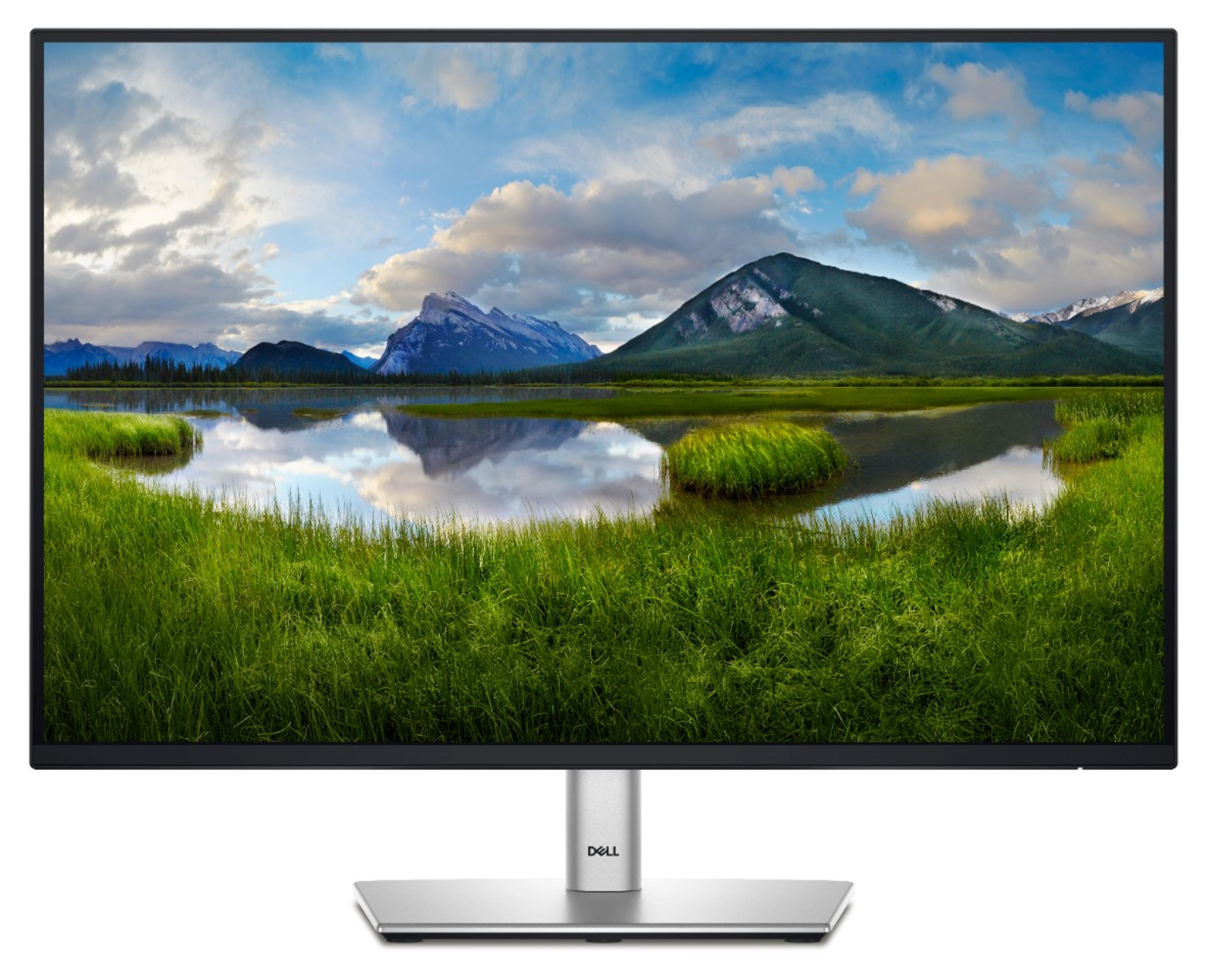 Écran Dell Pro 24 Plus P2425E USB-C