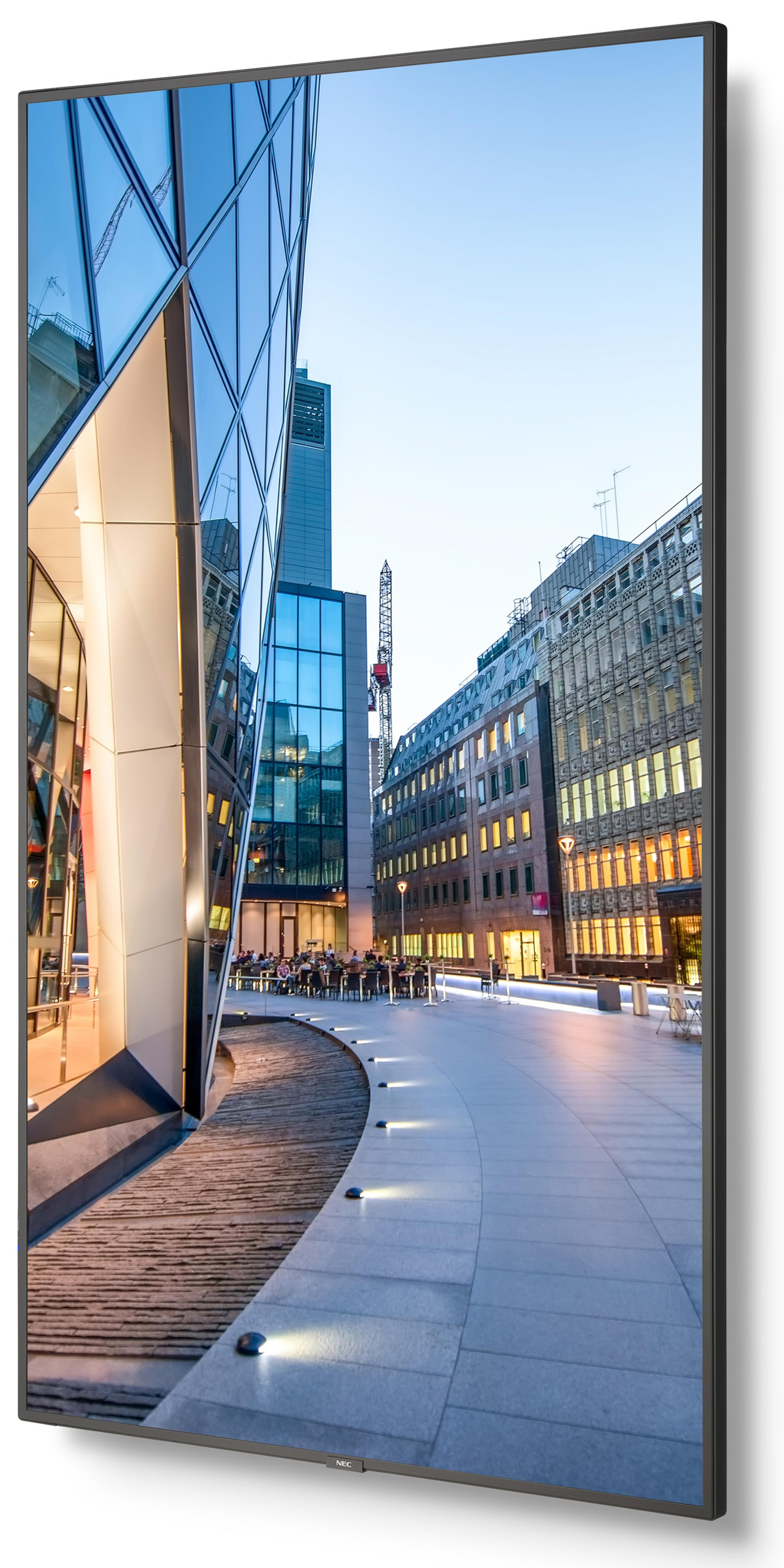 NEC MultiSync C651Q Monitor