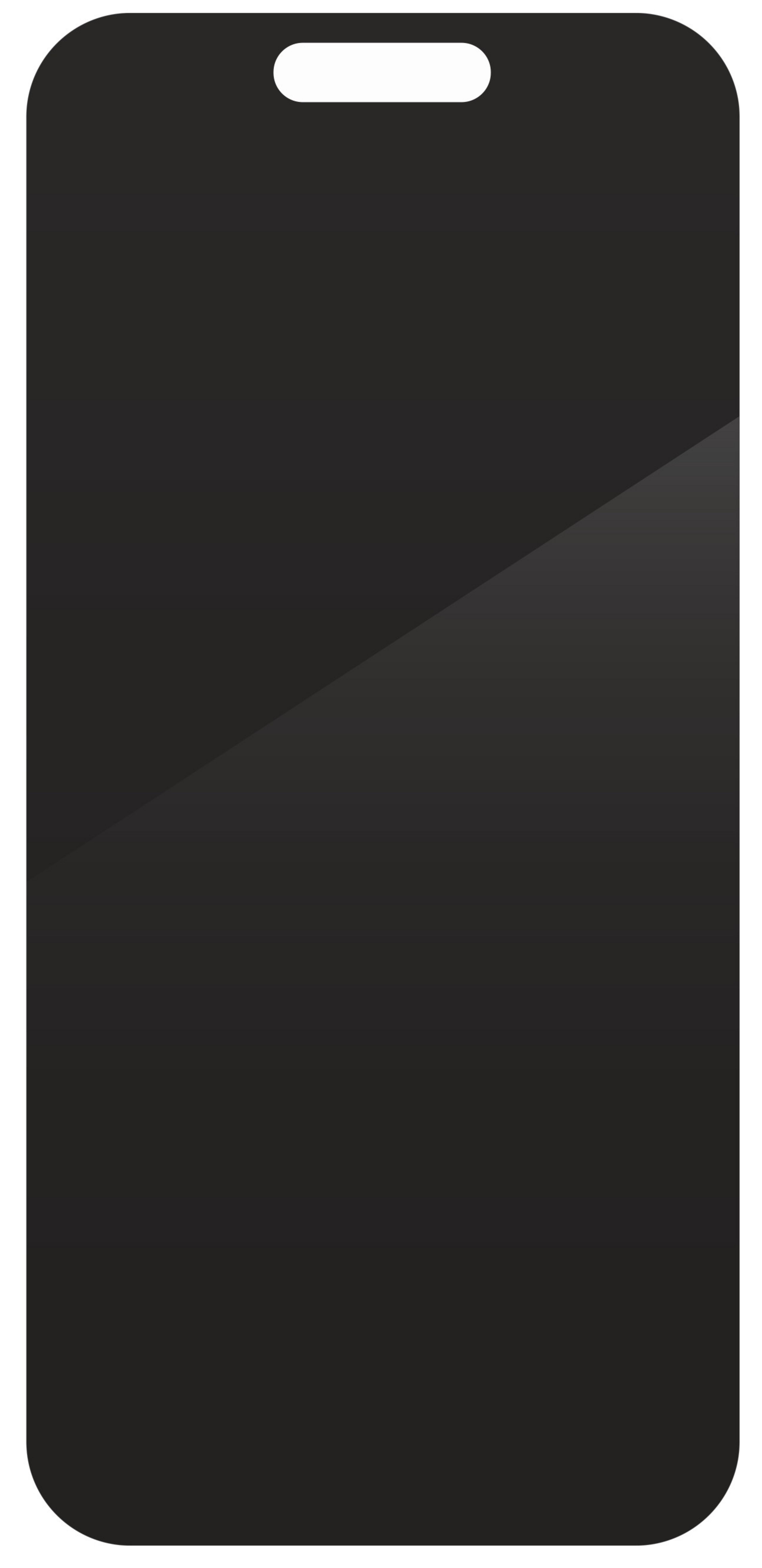 ZAGG Glass Elite iP17 Pro Max Blicksch.